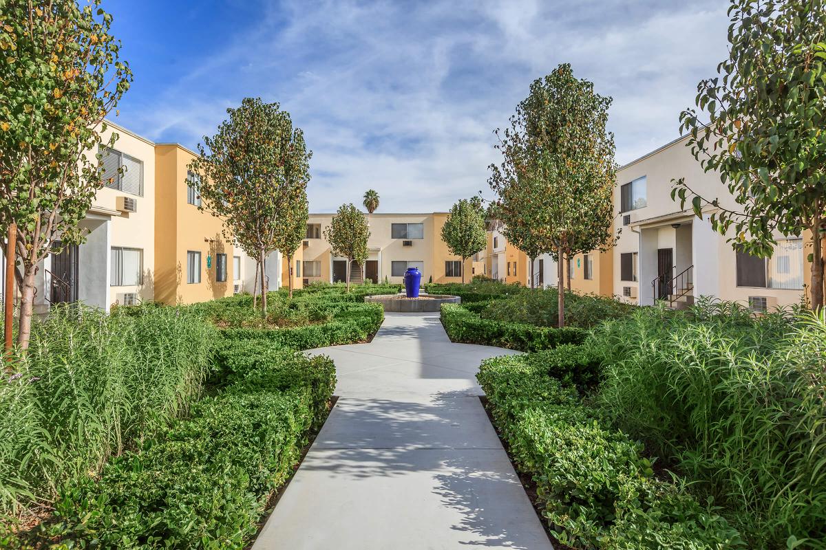 a path with trees on the side of a building