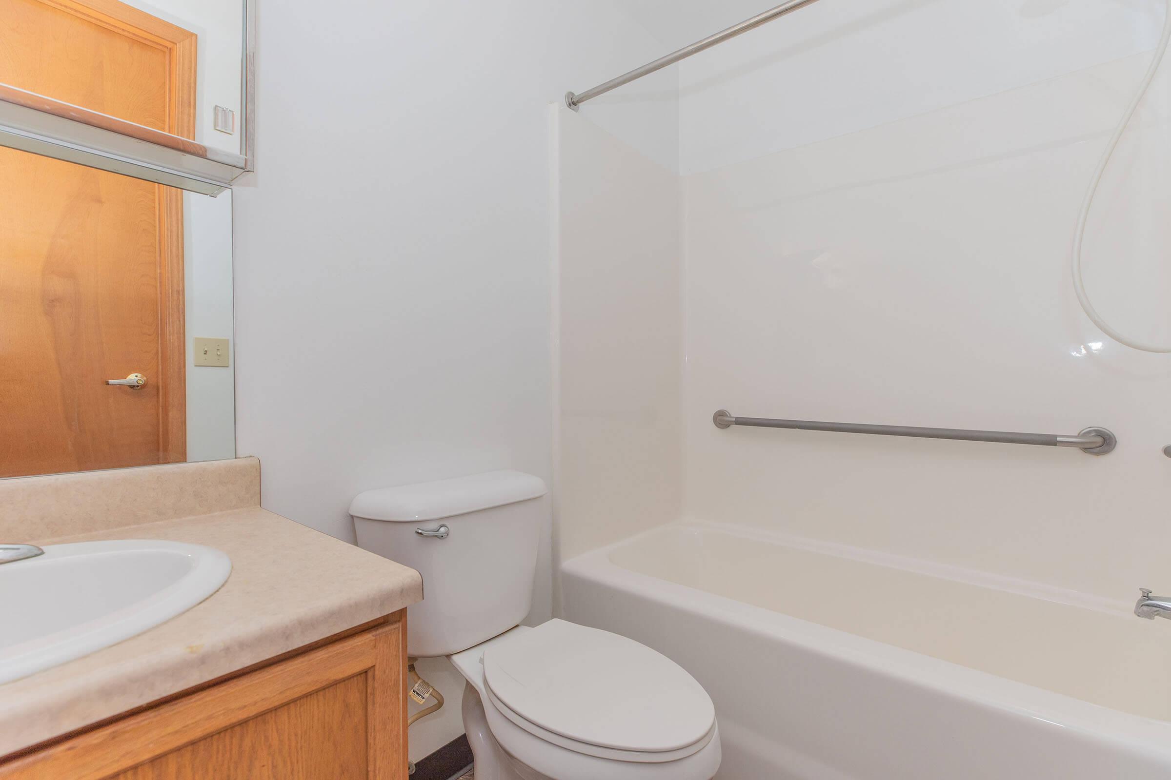 a shower that has a sink and a mirror