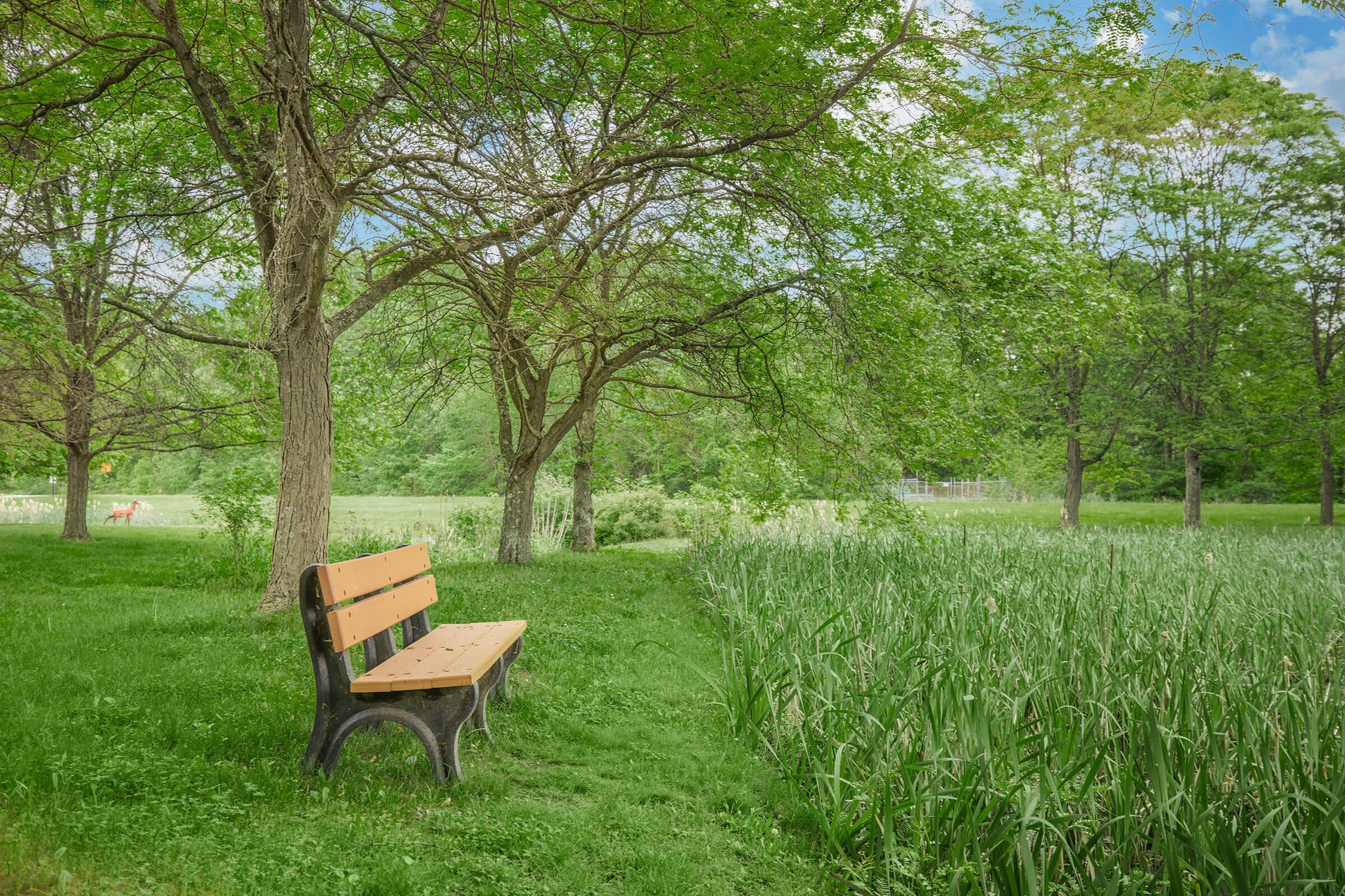 an empty park bench sitting in the middle of a field