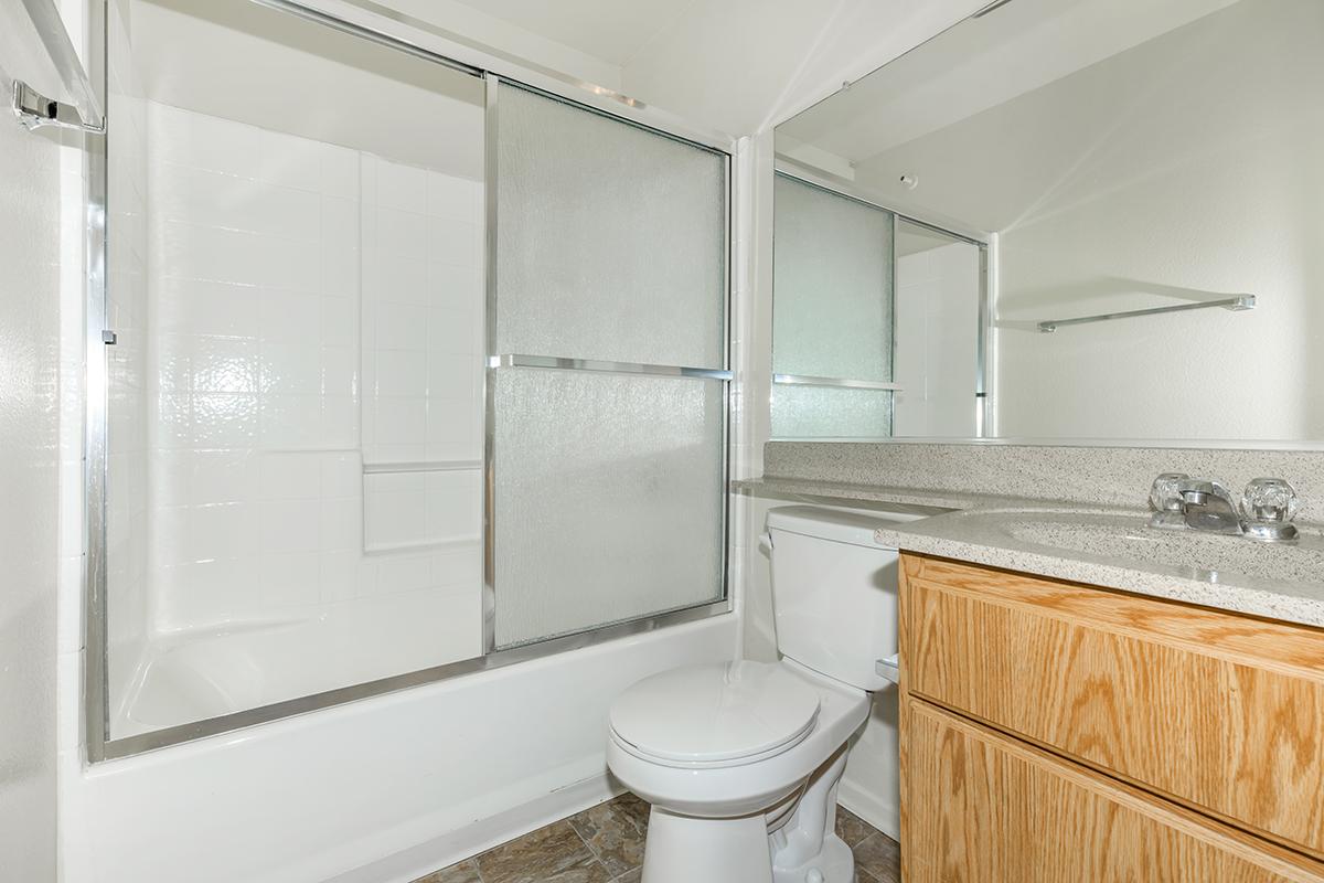 A clean and modern bathroom featuring a glass shower enclosure, a toilet, and a wooden vanity with a countertop. The walls are painted in a light color, and there is a large mirror above the sink, providing a bright and spacious feel to the space.