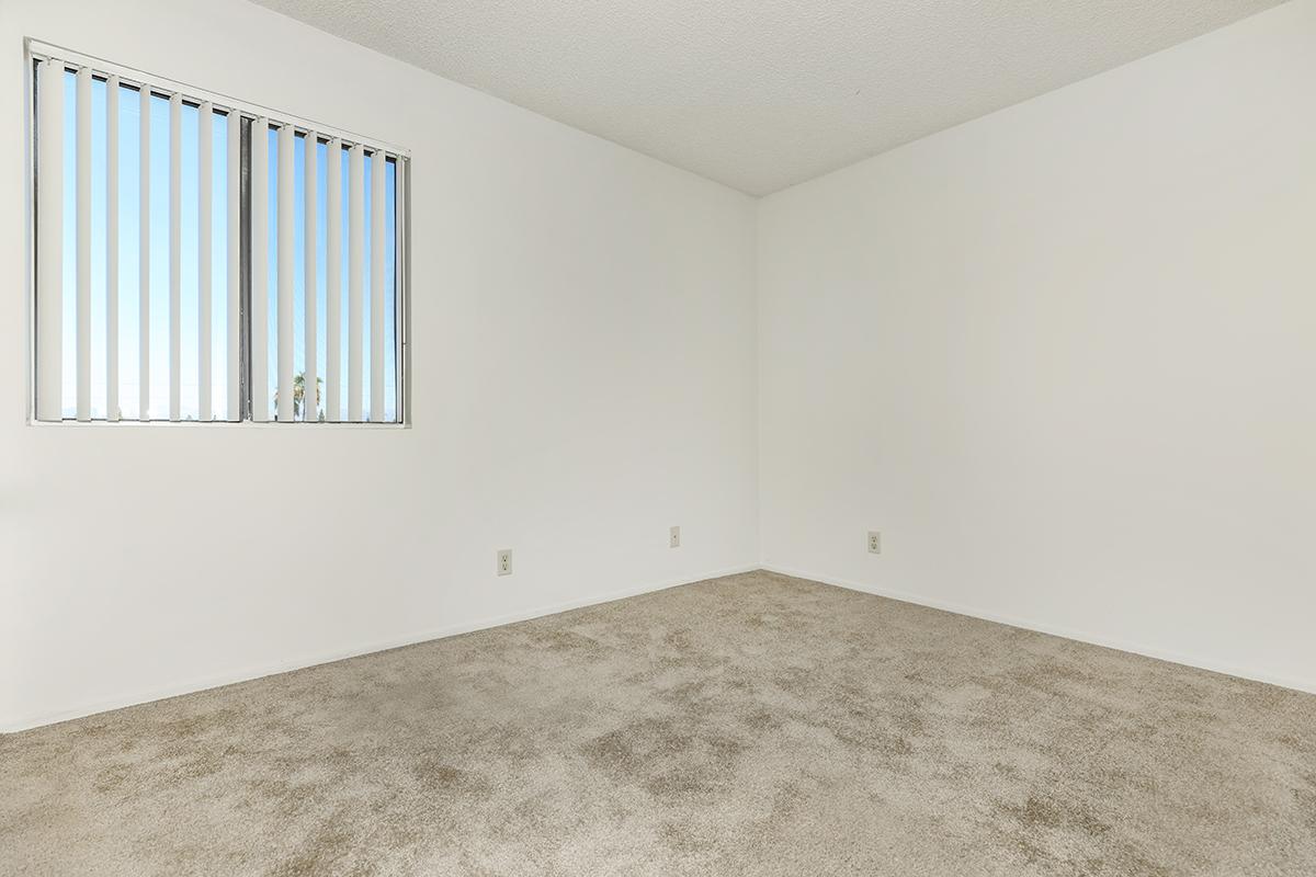 An empty room featuring beige carpet and white walls, with a window showing vertical blinds allowing natural light in. The room has no furniture and appears clean and spacious.