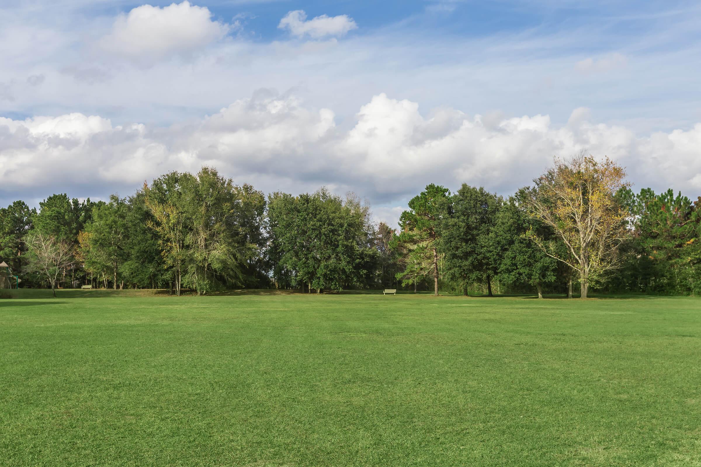 a large green field with trees in the background