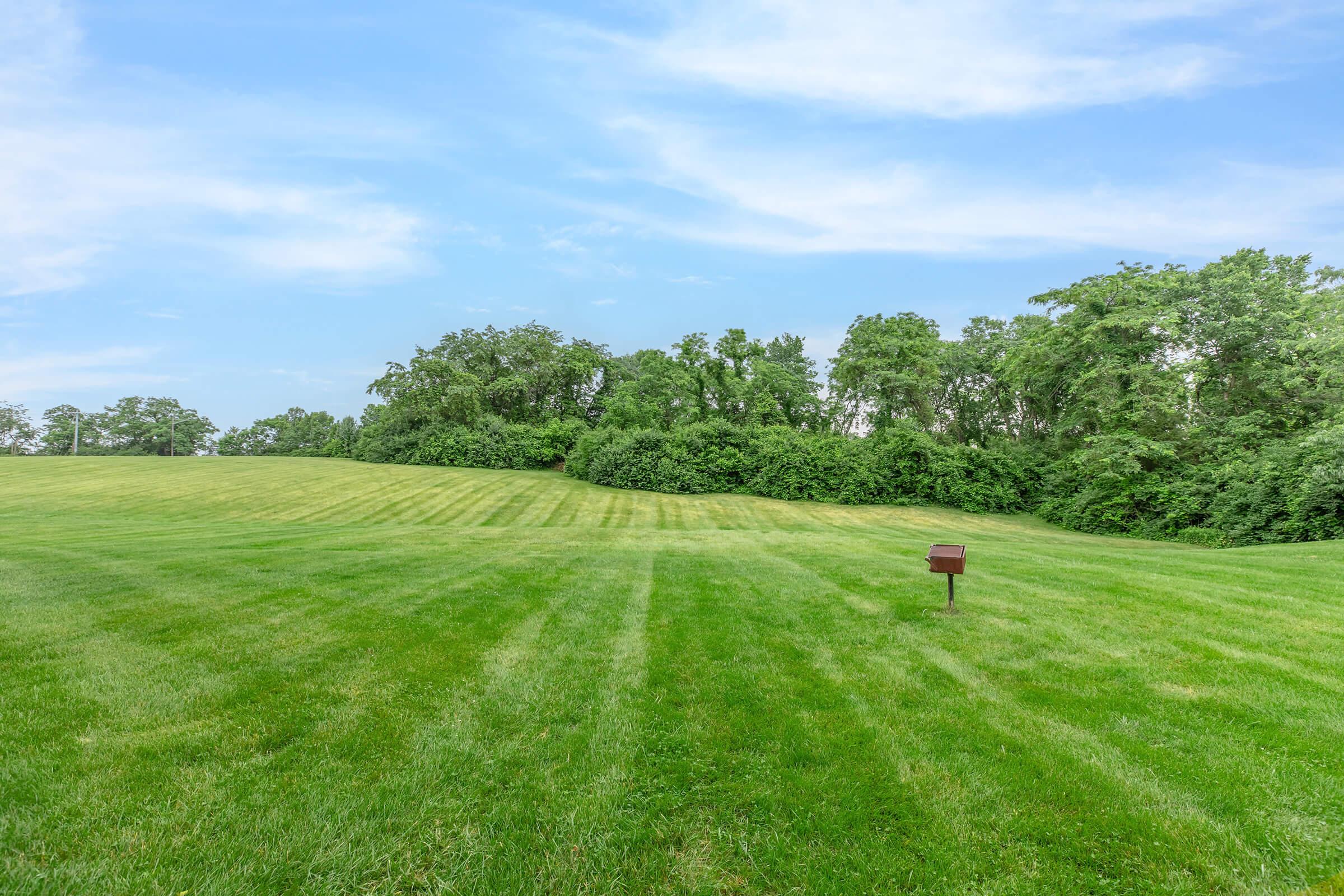 a person standing on a lush green field