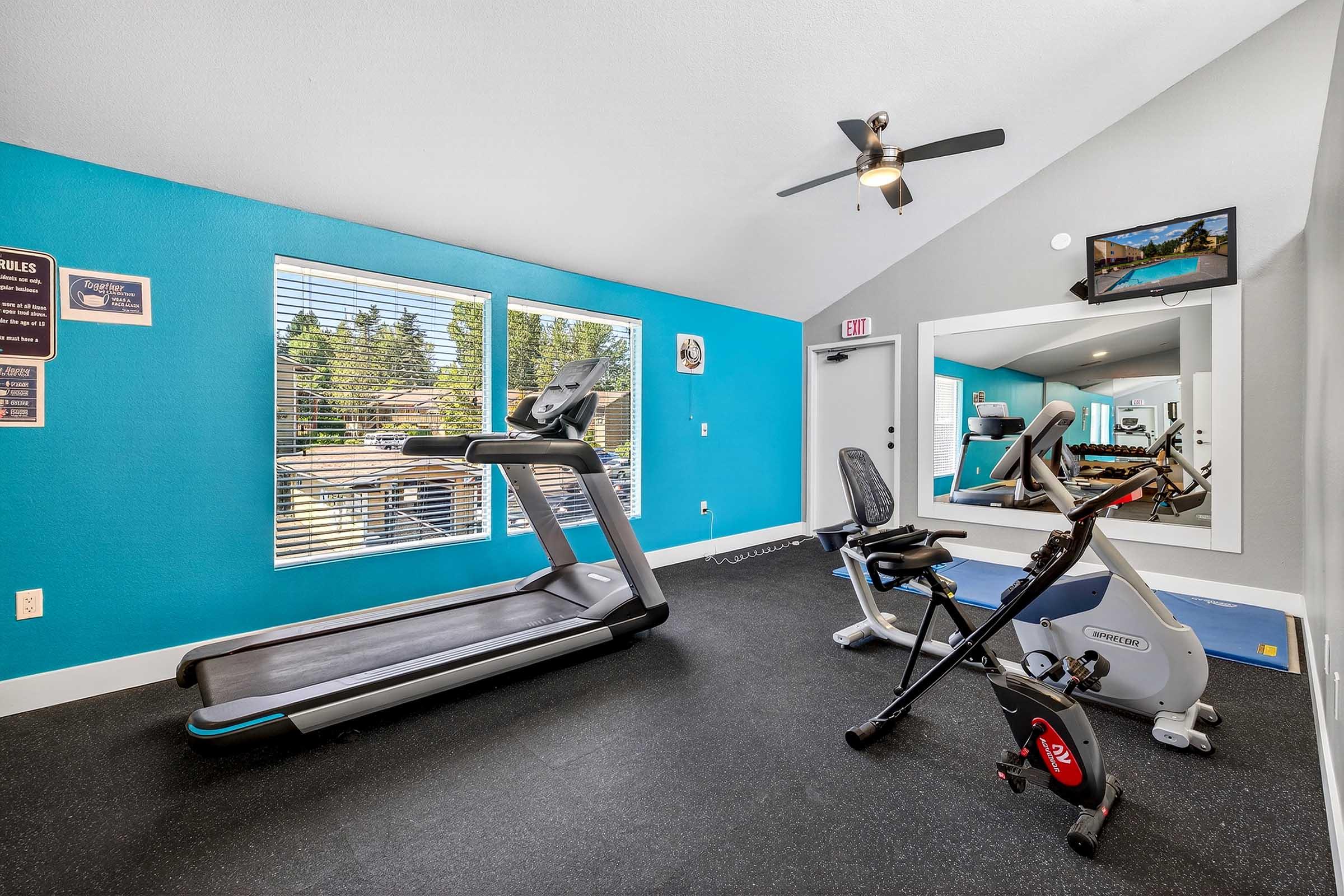 A bright and spacious fitness room featuring a treadmill and an exercise bike. Large windows allow natural light to fill the space, complemented by a ceiling fan. A wall mirror reflects the workout area, and a TV is mounted for entertainment. The walls are painted in a vibrant blue hue.