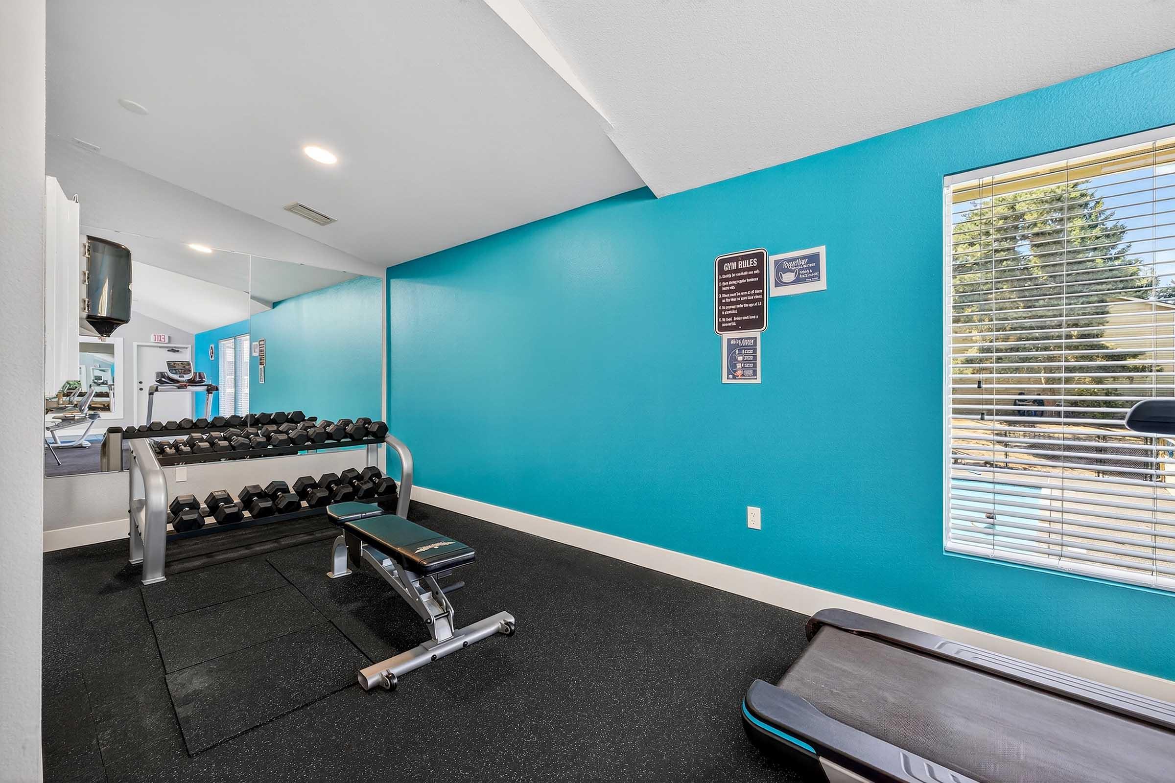 A bright and modern gym area featuring a row of dumbbells on a rack, a weight bench, and a treadmill on black rubber flooring. The walls are painted in a vibrant turquoise color, and there are large windows allowing natural light to enter, enhancing the inviting atmosphere.