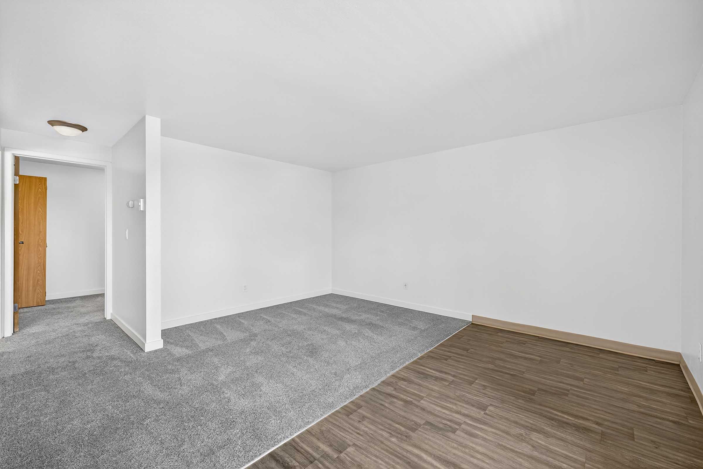 A spacious, empty living room featuring a light gray carpet and a section with wood flooring. The walls are painted white, and there is a doorway visible to the left leading to another room. Natural light brightens the area, creating a clean and open atmosphere.