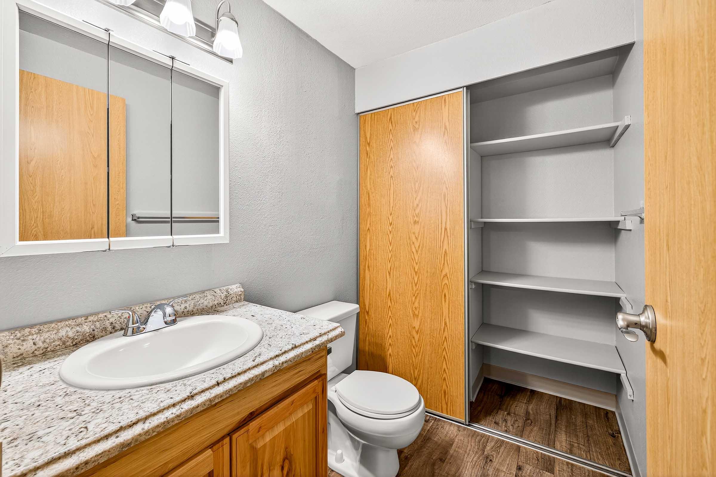 A modern bathroom featuring a granite countertop with a sink, a mirror, and a wooden cabinet. There’s a white toilet and a sliding door closet with wooden doors. The walls are painted gray, and the floor has a wooden appearance. The lighting is provided by two overhead fixtures.