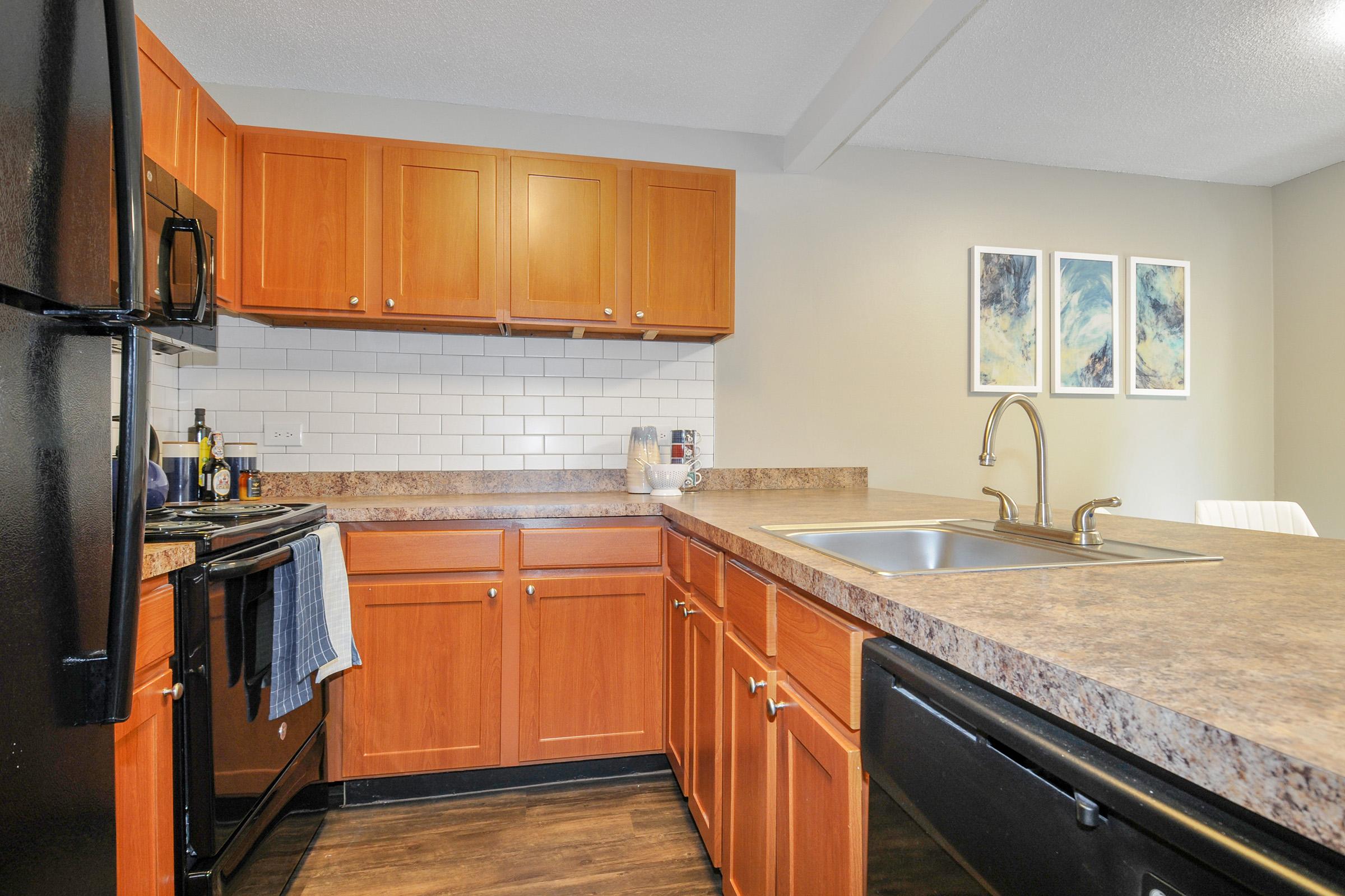 A modern kitchen featuring wooden cabinets, a black fridge, and a black stove. The countertop is made of speckled stone. A double sink is installed, and there's a dish towel hanging from the cabinet. Wall art with blue and green hues decorates the nearby wall, enhancing the contemporary design.