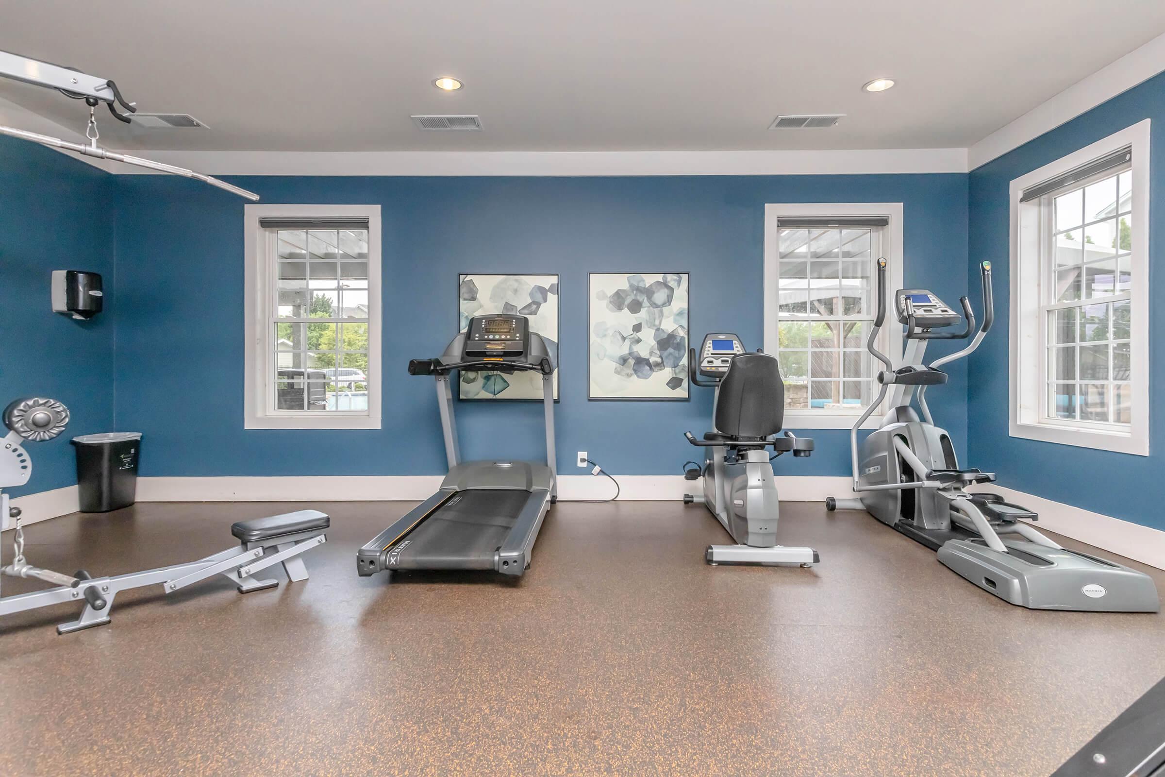 A modern home gym featuring a treadmill, stationary bike, elliptical machine, and weight bench. The walls are painted blue, and there are large windows allowing natural light to fill the space. Abstract artwork hangs on the wall, and flooring is a textured material suitable for exercise.