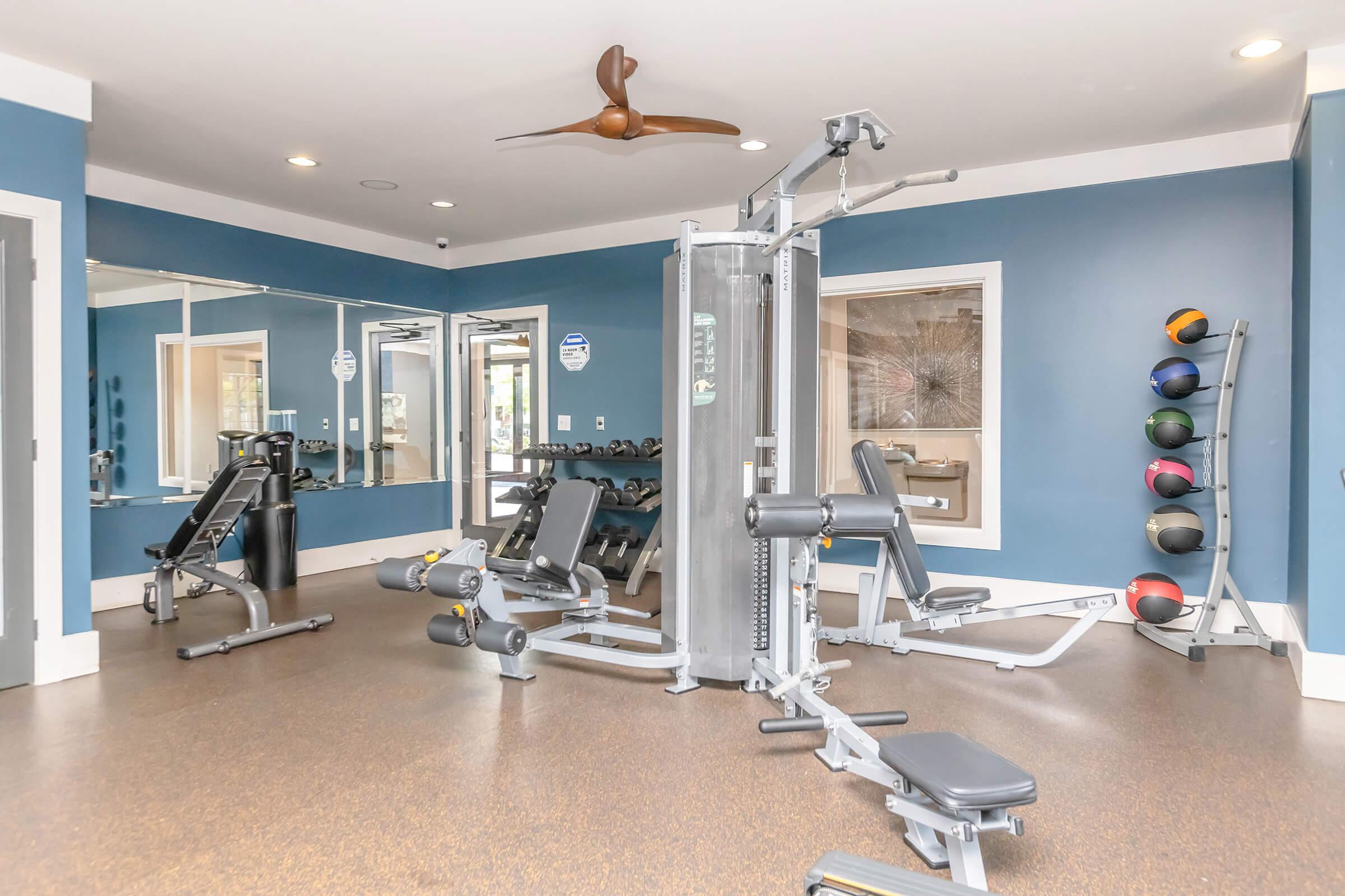 A modern gym interior featuring various exercise equipment, including weight machines, free weights, and exercise balls on a wall. The space has blue walls, a ceiling fan, and mirrors to enhance the workout environment.