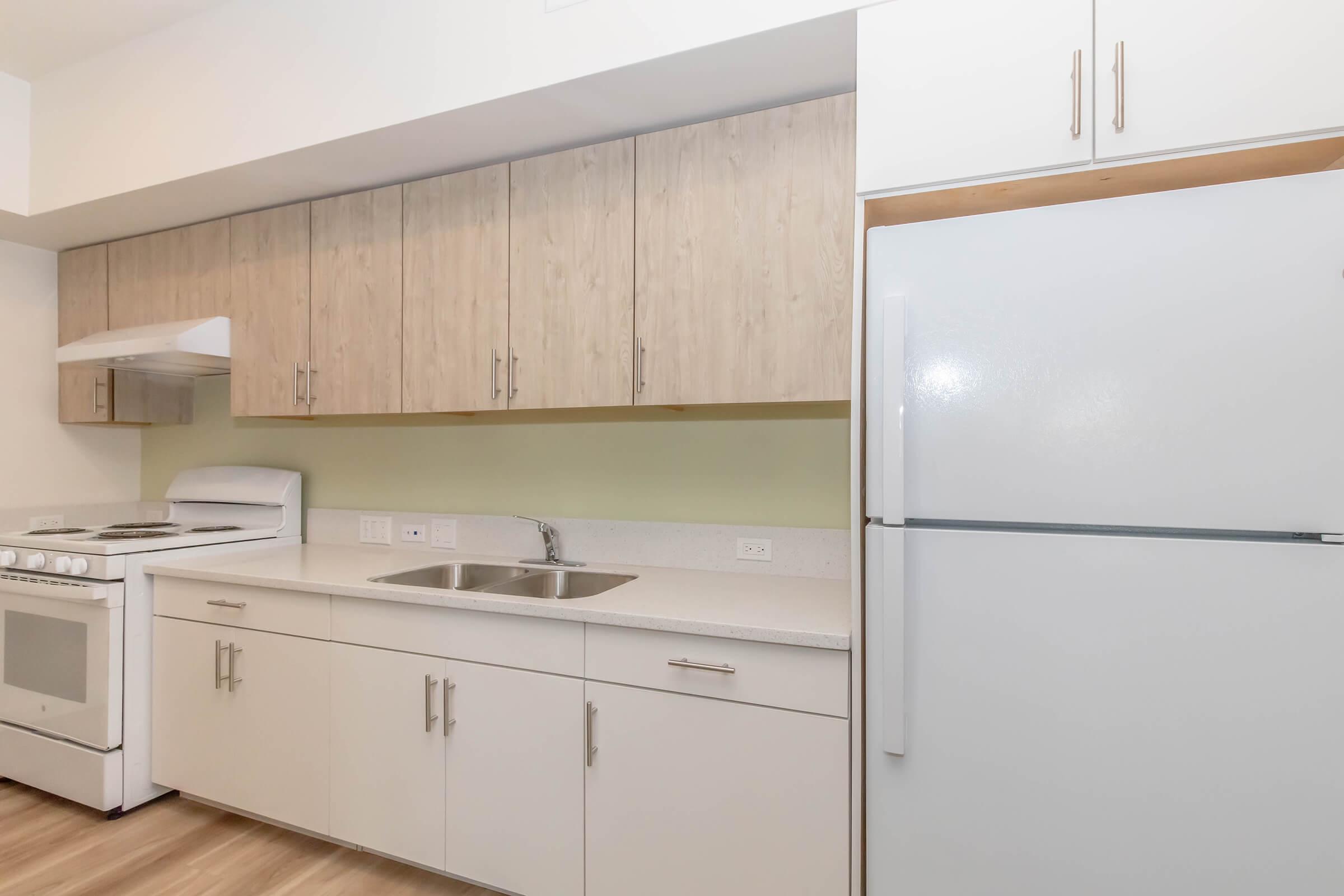 A modern kitchen featuring light wood cabinets, a white refrigerator, a stove with an oven, and a double sink. The countertops are a smooth, light-colored material, and the walls are painted a soft green, creating a bright and inviting atmosphere.