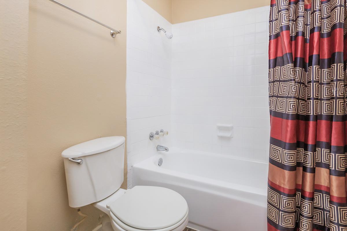 a shower curtain