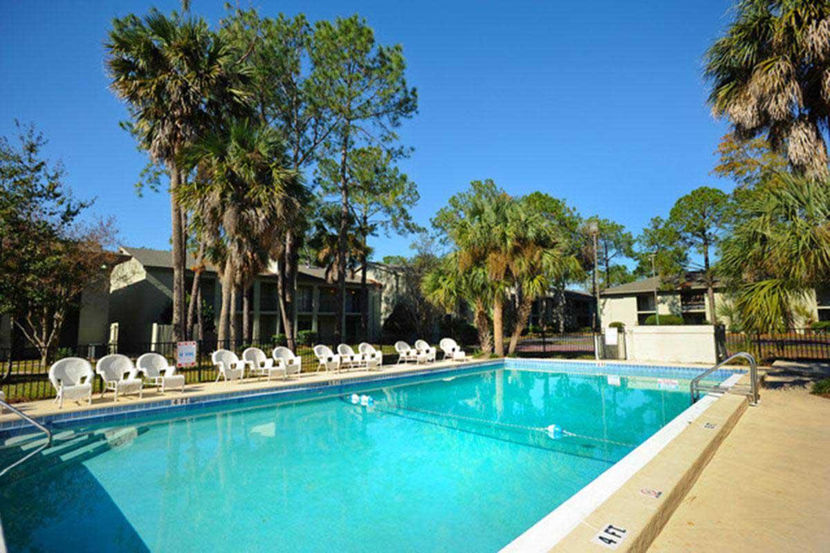 A clear swimming pool surrounded by palm trees and lounge chairs under a bright blue sky. The pool area is fenced, with several chairs positioned around its perimeter. In the background, there are buildings partially obscured by greenery. The scene conveys a relaxing outdoor atmosphere.