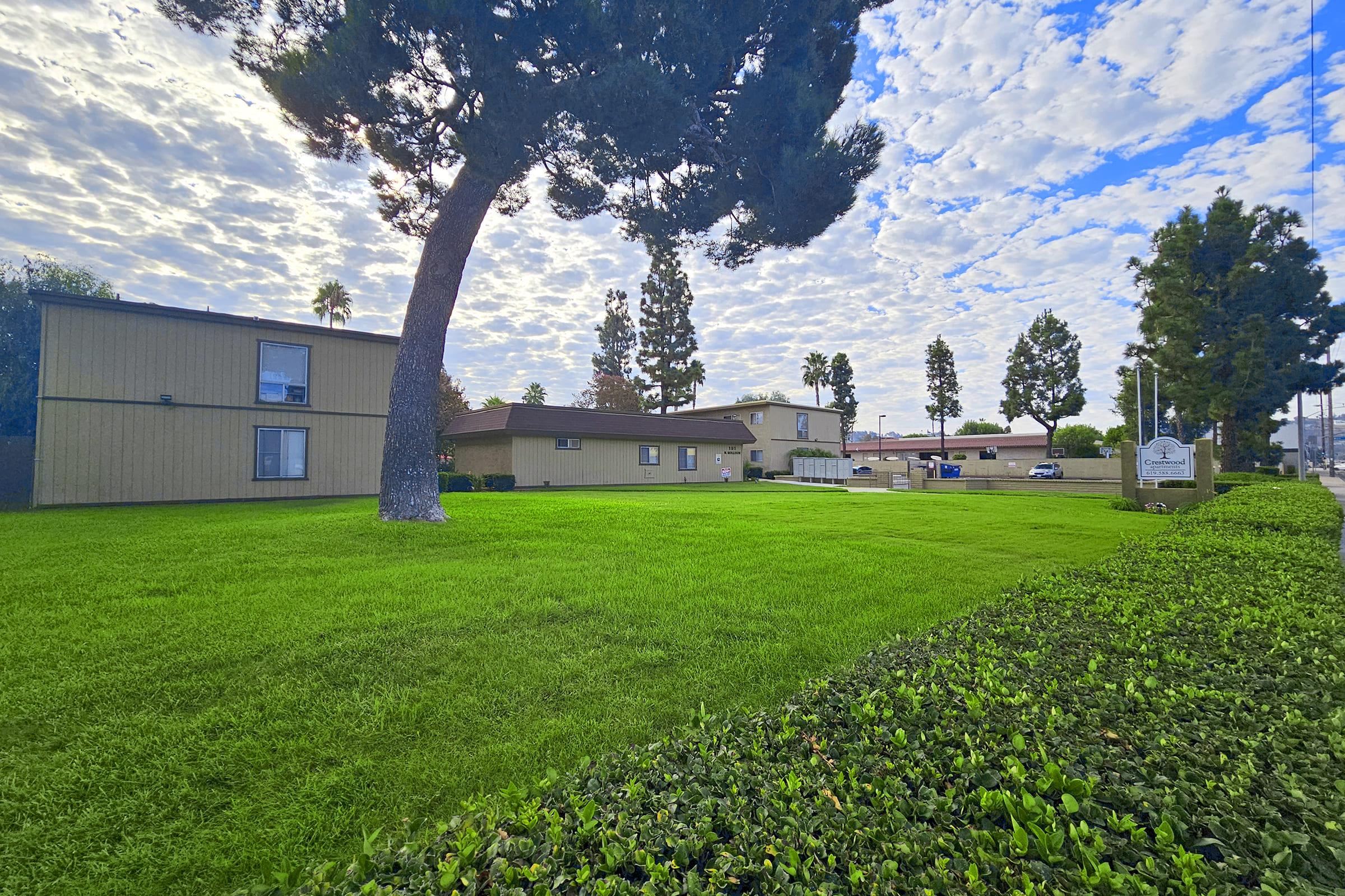 a large green field with trees in the background