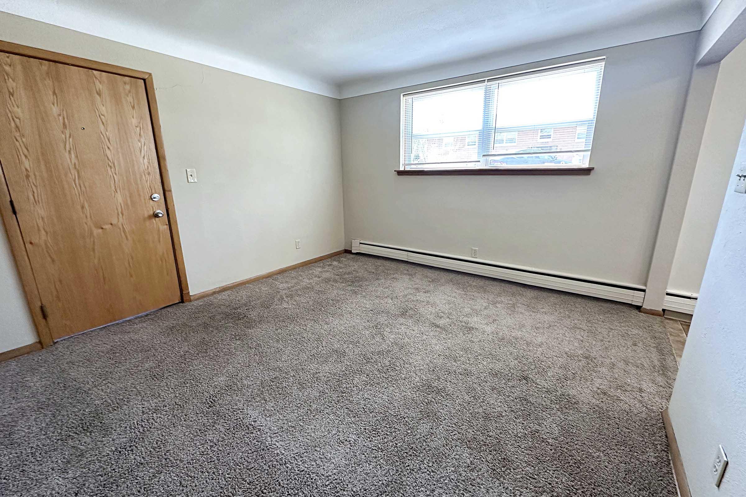 Empty room with light gray carpet, beige walls, and a wooden door on the left. A large window above a narrow shelf allows natural light to fill the space. No furniture is present, creating an open and airy atmosphere. A baseboard heater runs along the wall beneath the window.