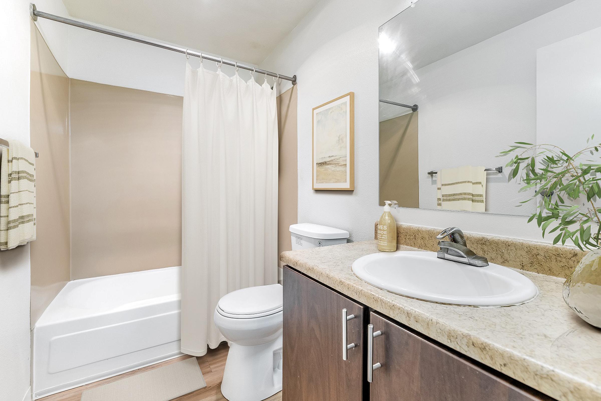 A clean and modern bathroom featuring a bathtub with a beige shower curtain, a white toilet, and a sink with a stone countertop. The walls are painted white, and there is a framed artwork and a small plant on the counter, adding a touch of decor. Soft natural light illuminates the space.