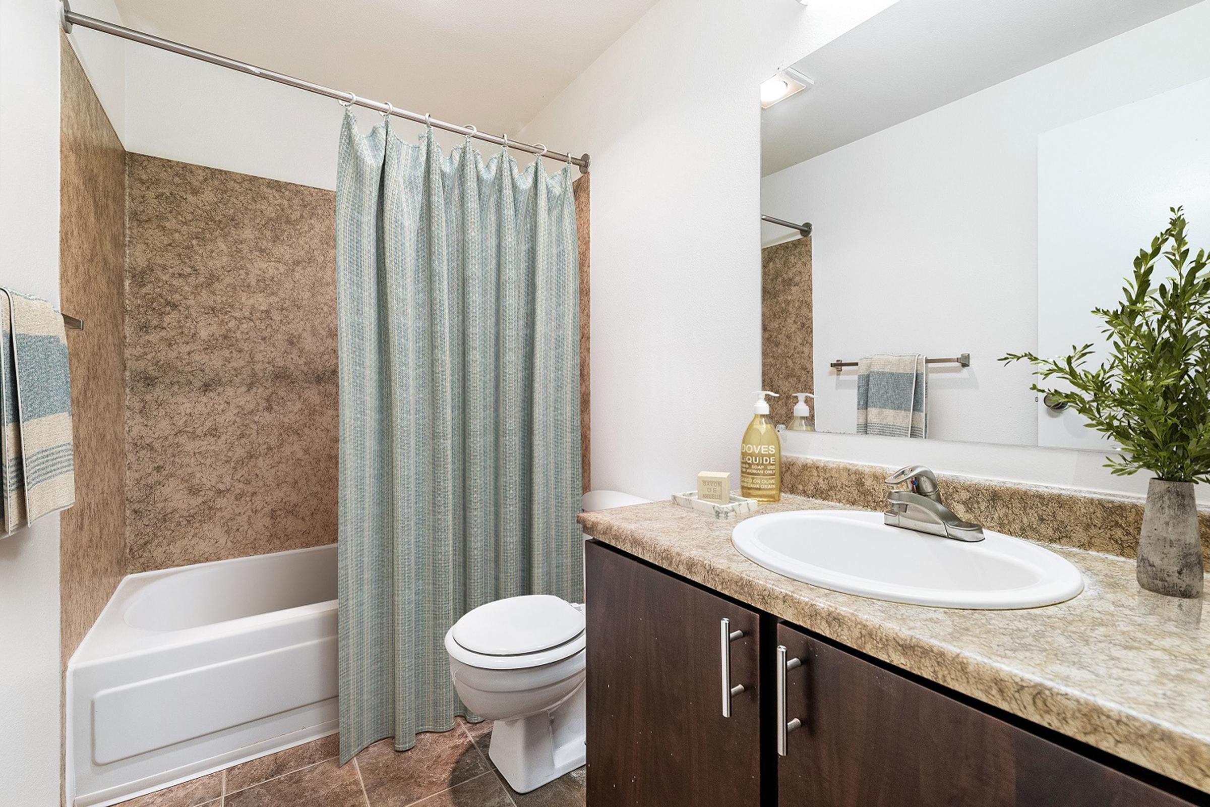 A clean and modern bathroom featuring a bathtub with a shower curtain, a sink with a mirror above, a toilet, and a decorative plant. The walls have a neutral tone, and the countertop is made of a light-colored material. Towels and toiletries are neatly arranged for a tidy appearance.