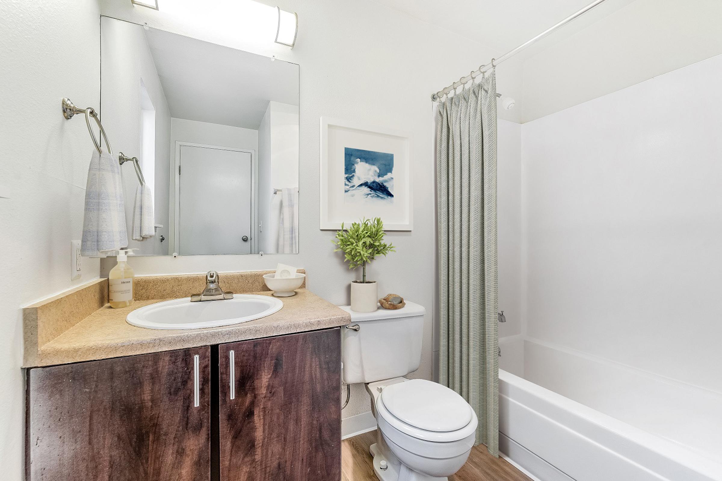 A clean and modern bathroom featuring a white bathtub with a shower curtain, a toilet, and a sink with a countertop. A large mirror is above the sink, and a framed picture is on the wall. A small potted plant adds a touch of greenery, and light wood flooring completes the aesthetic.