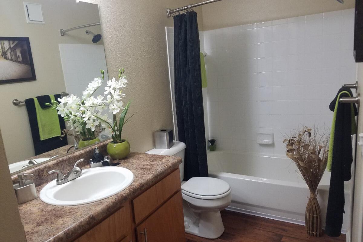 Reserve at Harpers Point Apartments in Murfreesboro, TN - int 07 (1024x768).jpg