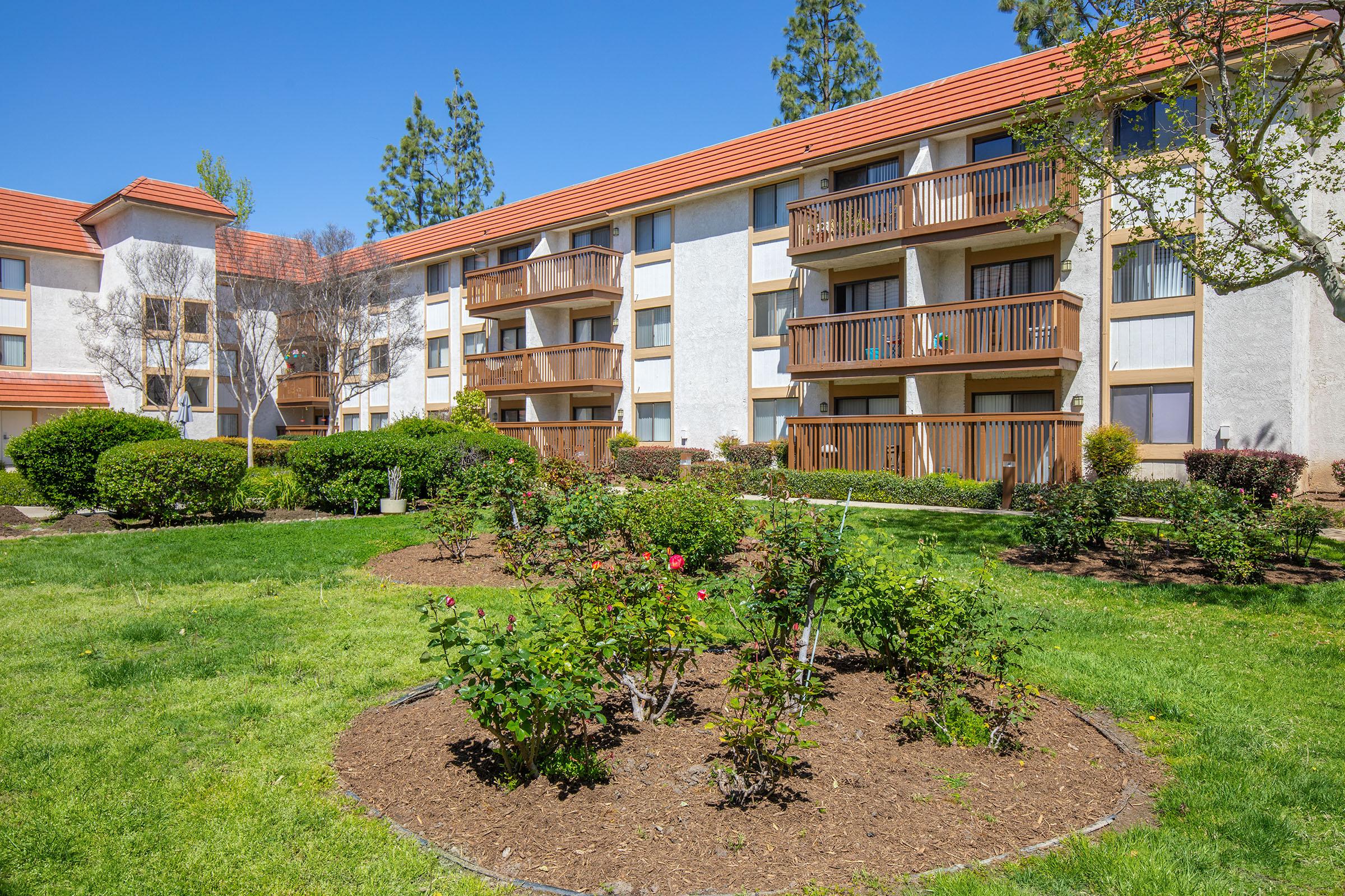 Rudolph Hendrickson Senior Apartments Apartments for Rent in Rancho