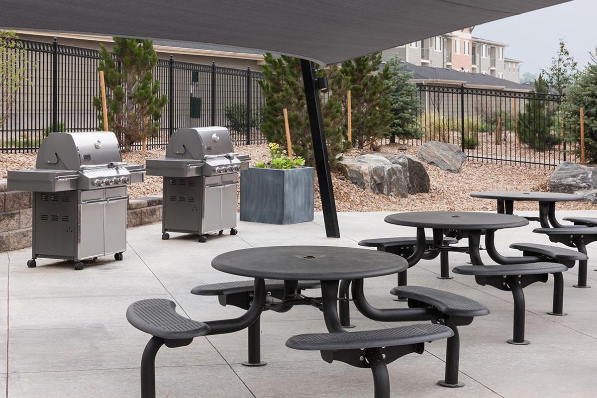 BBQ 2.jpg