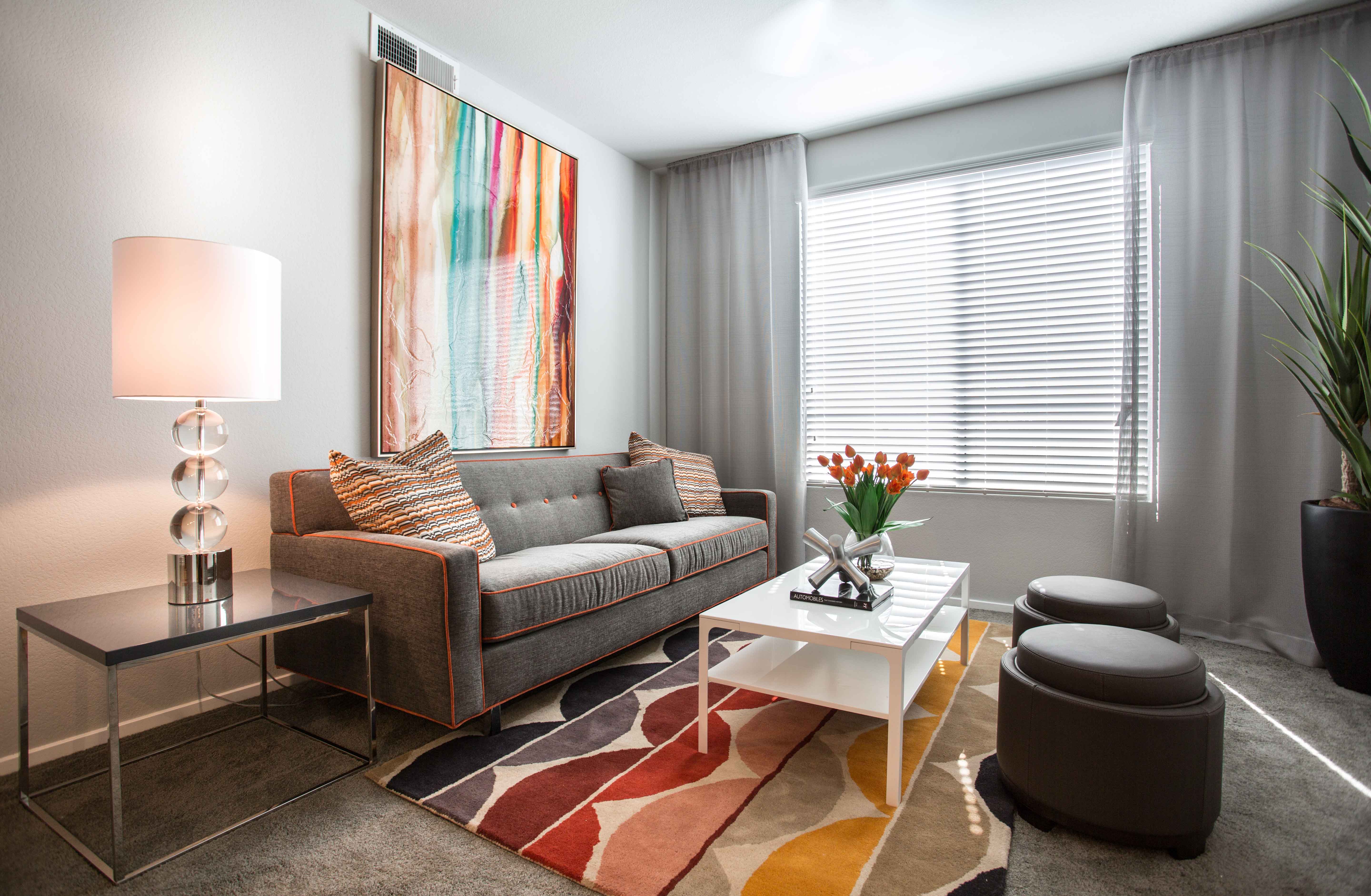 Apartment Features
