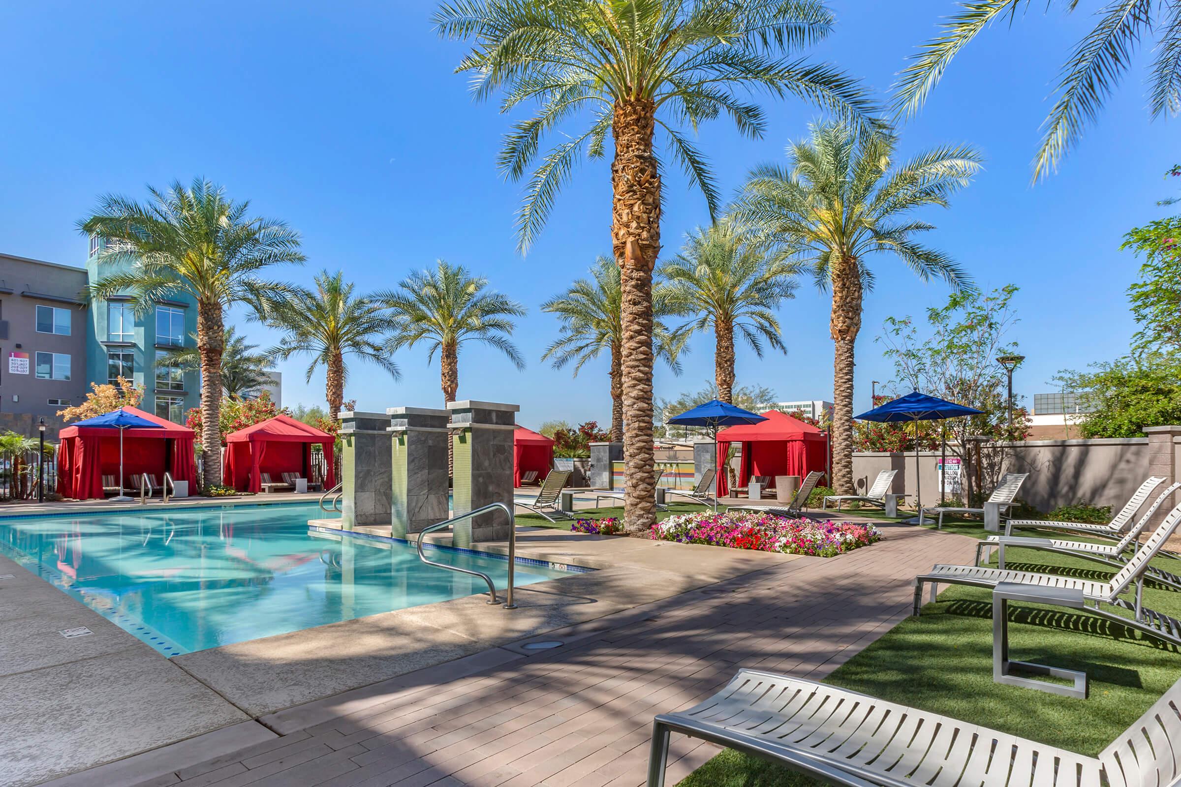 A serene outdoor pool area surrounded by palm trees, featuring lounge chairs and umbrellas.