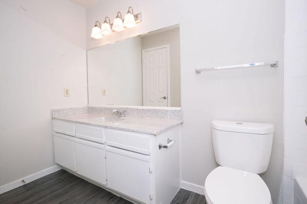 A clean, brightly lit bathroom featuring a double vanity with a granite countertop, a large mirror, three light fixtures above, a toilet, and a towel rack on the wall. The walls are painted white, and the flooring is a dark vinyl material.