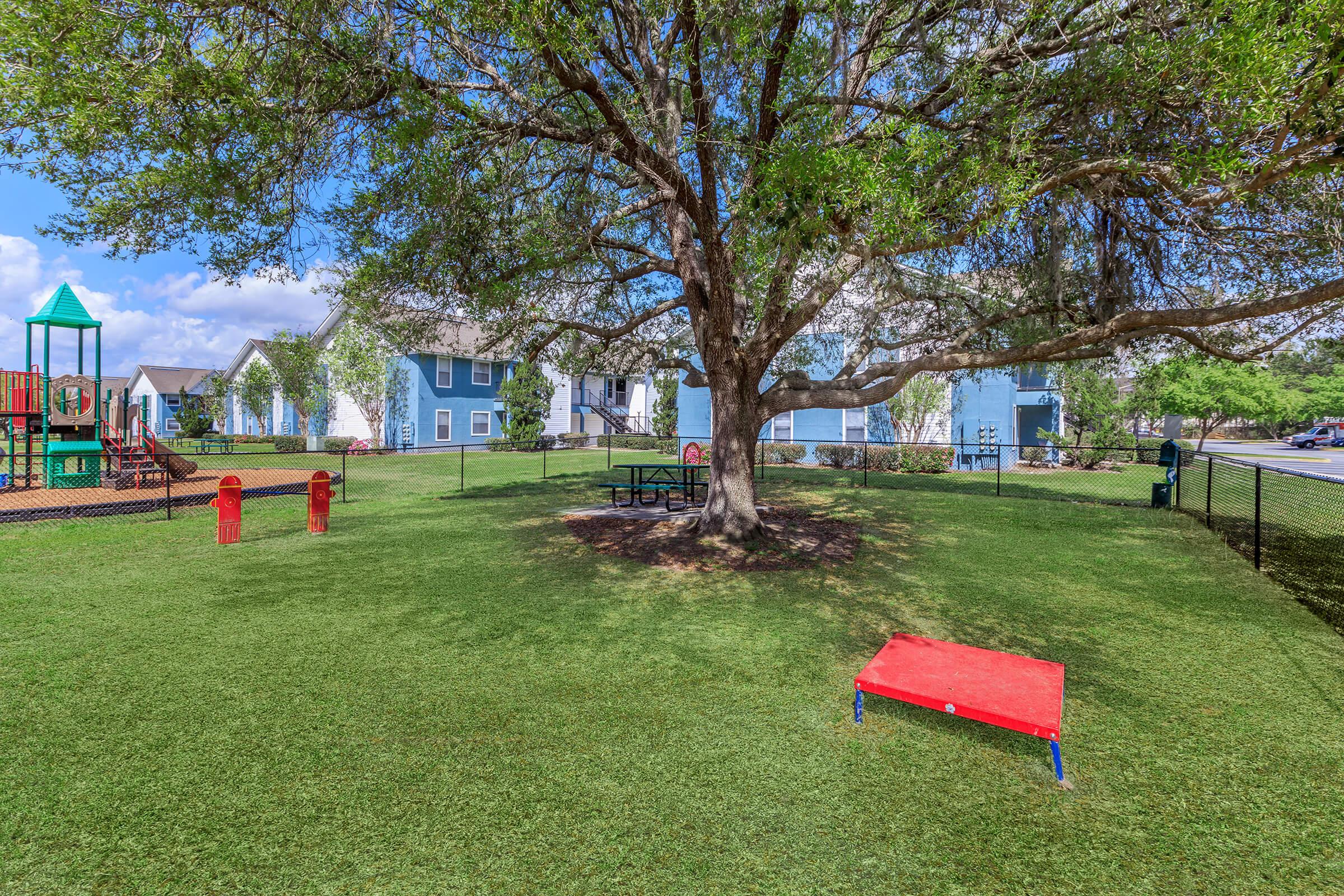 a group of lawn chairs sitting on top of a grass covered field