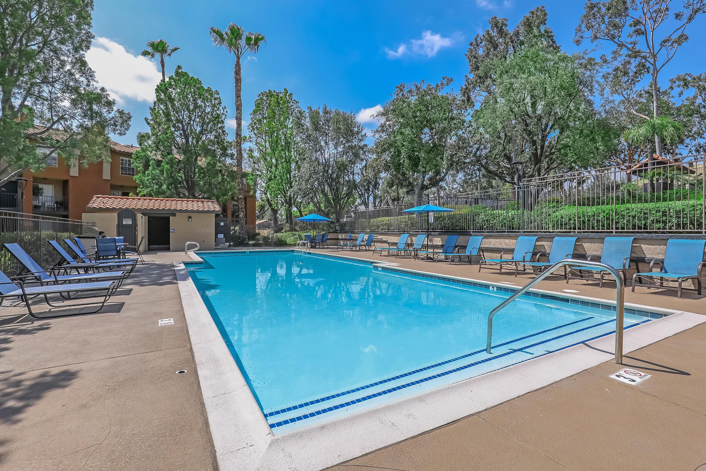 a group of palm trees next to a pool