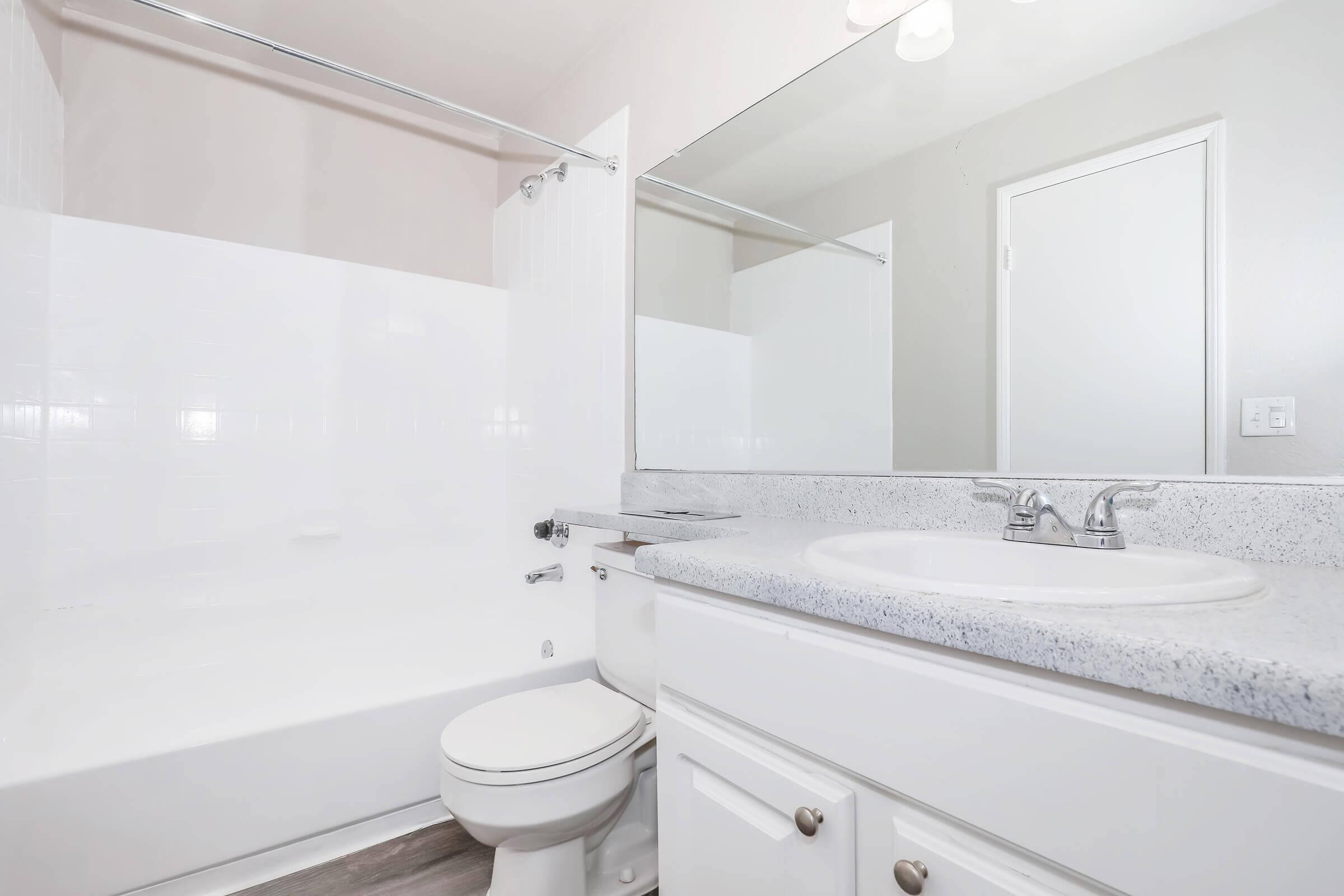 Dog-Friendly Apartments IN Corona, CA - The Hills of Corona - Bathroom with a Garden-Style Tub, a Large Mirror, and a Modern Sink Vanity