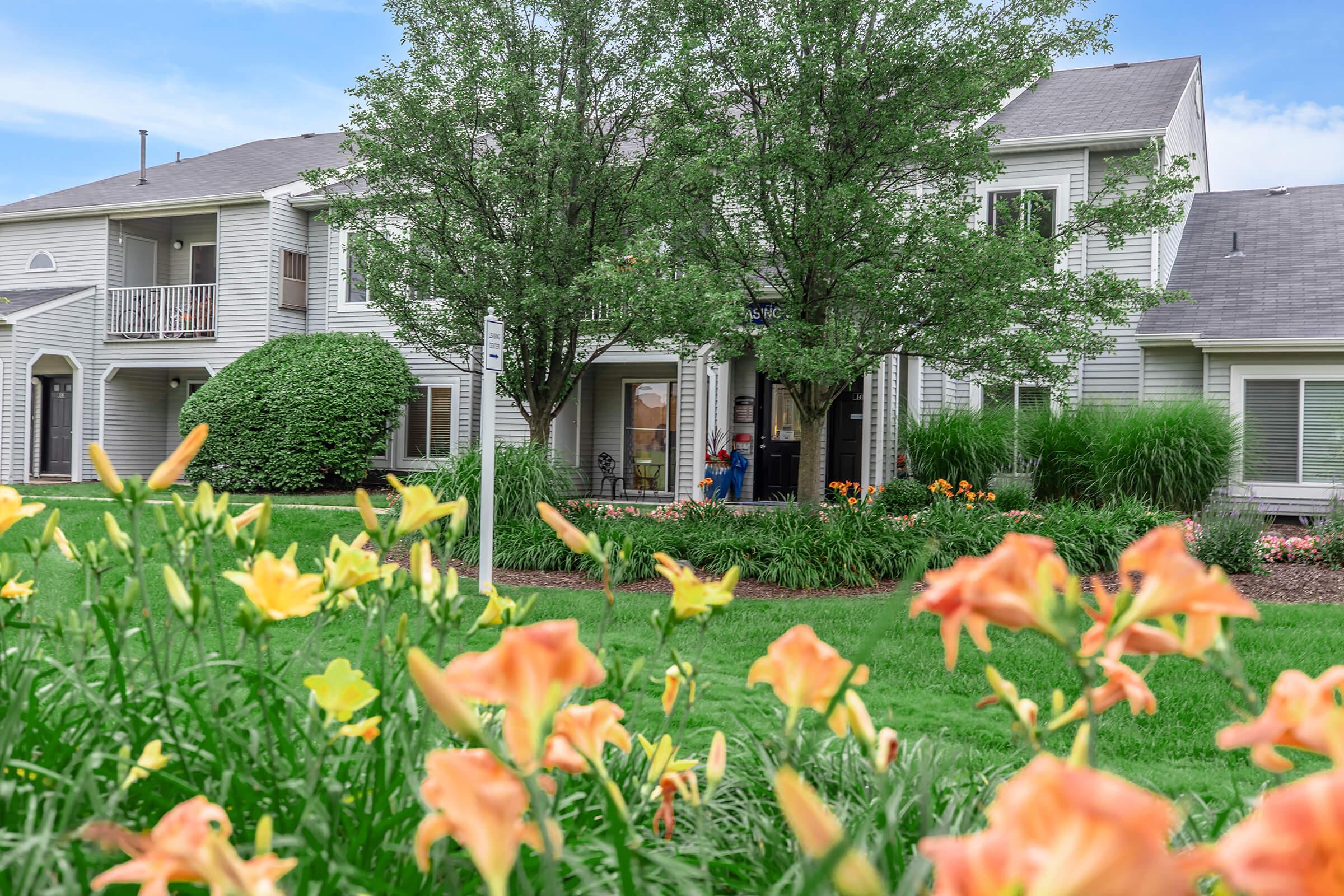 a garden in front of a house