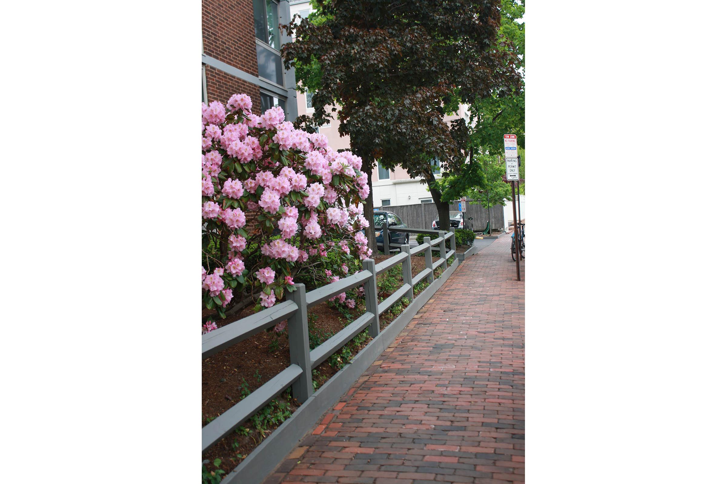 a close up of a flower garden in front of a brick building