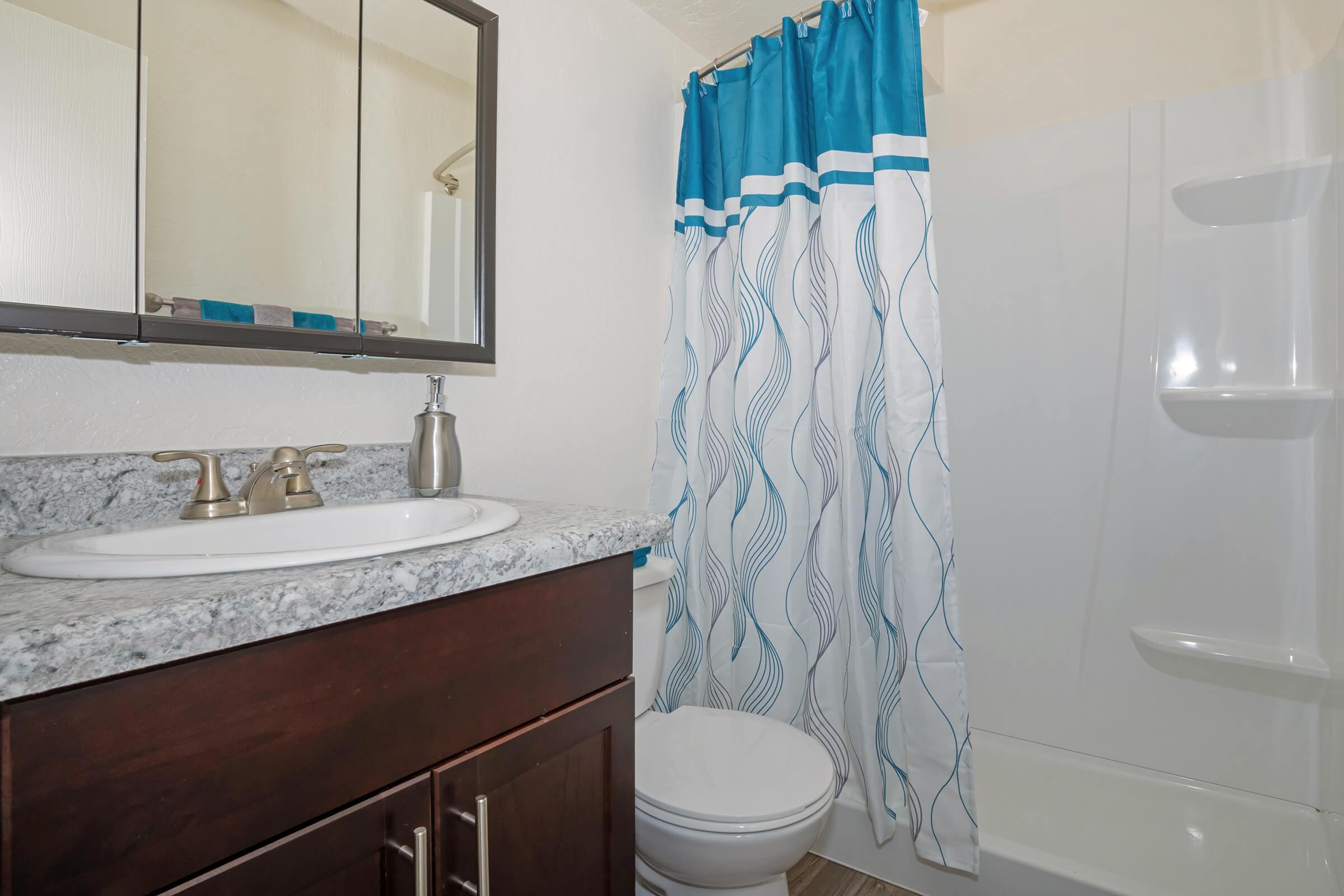 a blue and white shower curtain