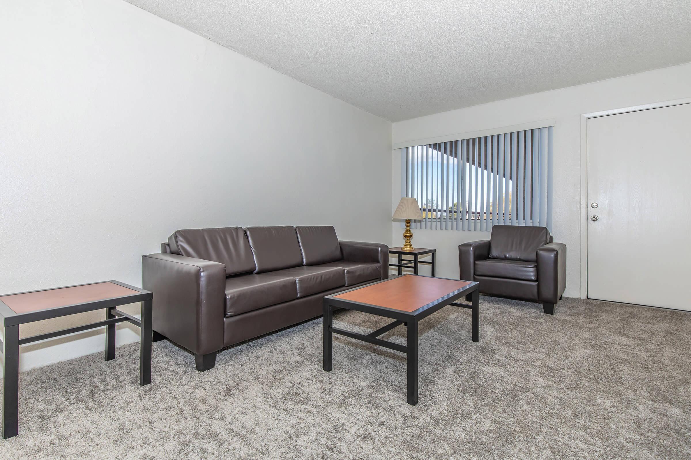 a living room filled with furniture and a rug