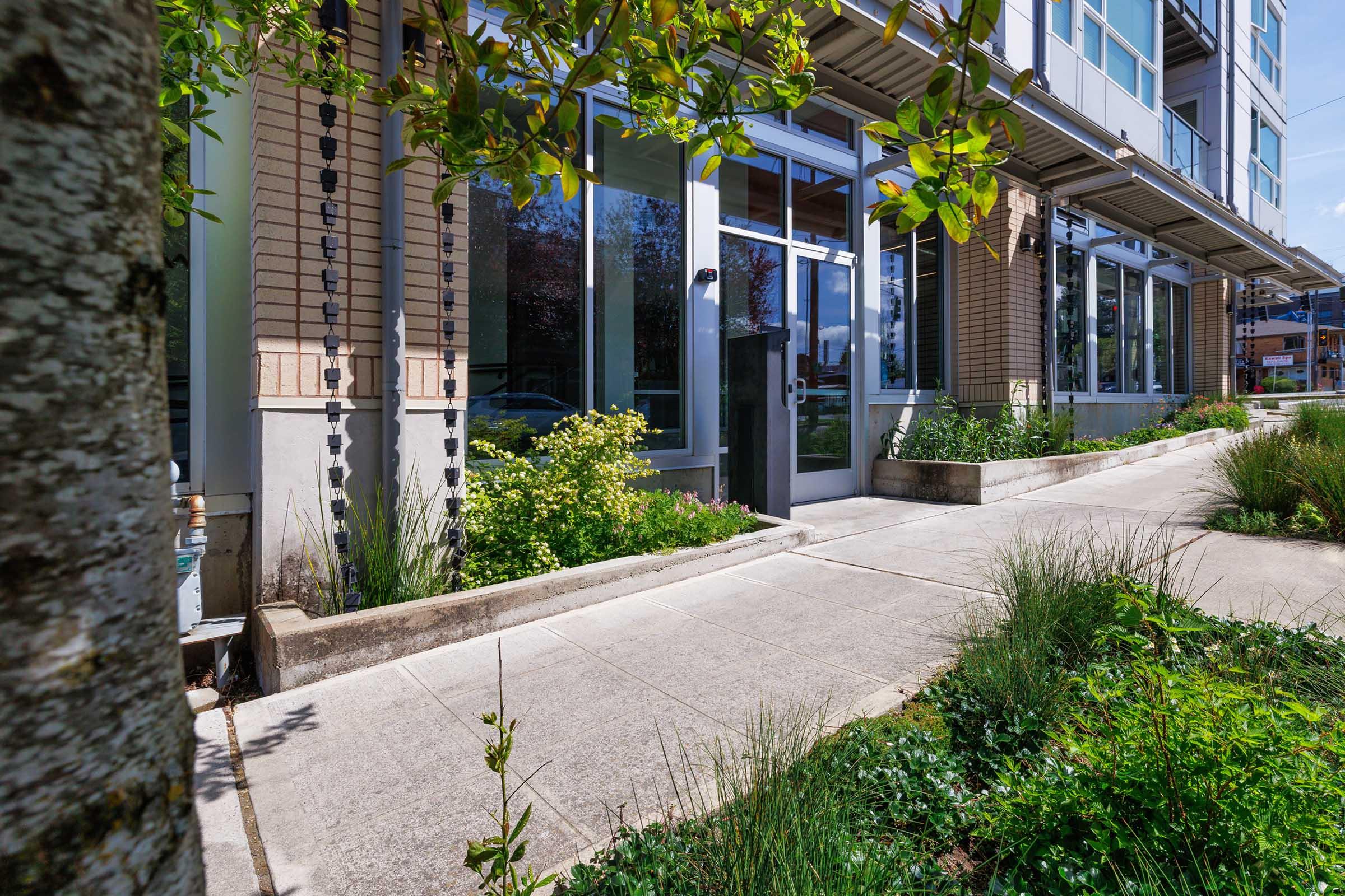 A modern building with large glass windows and a sidewalk lined with greenery. The scene includes plants and shrubs, with a tree in the foreground, creating a welcoming entrance. The sky is clear, suggesting a bright day.
