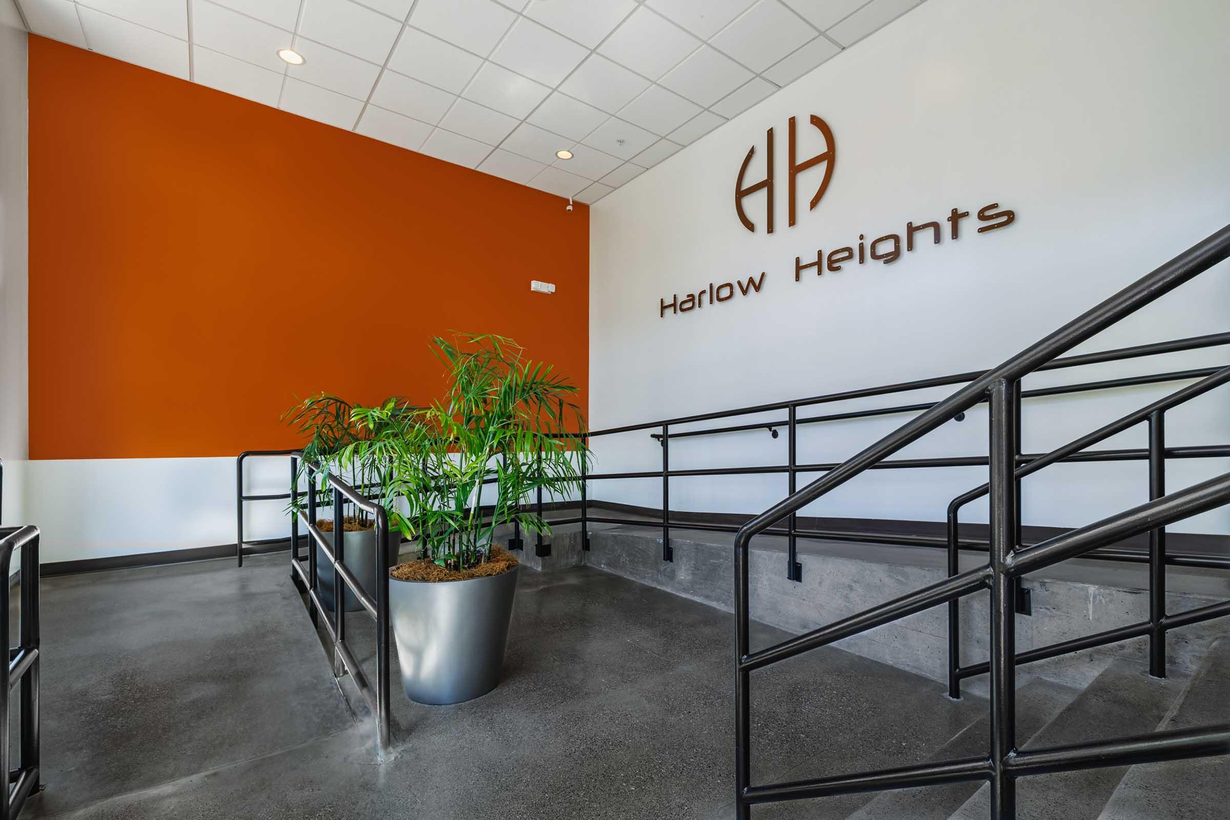 Interior of a building featuring a staircase with black railings leading to an orange accent wall displaying the text "Harlow Heights." A large potted plant is positioned near the bottom of the stairs, contributing to the modern, welcoming atmosphere of the space.
