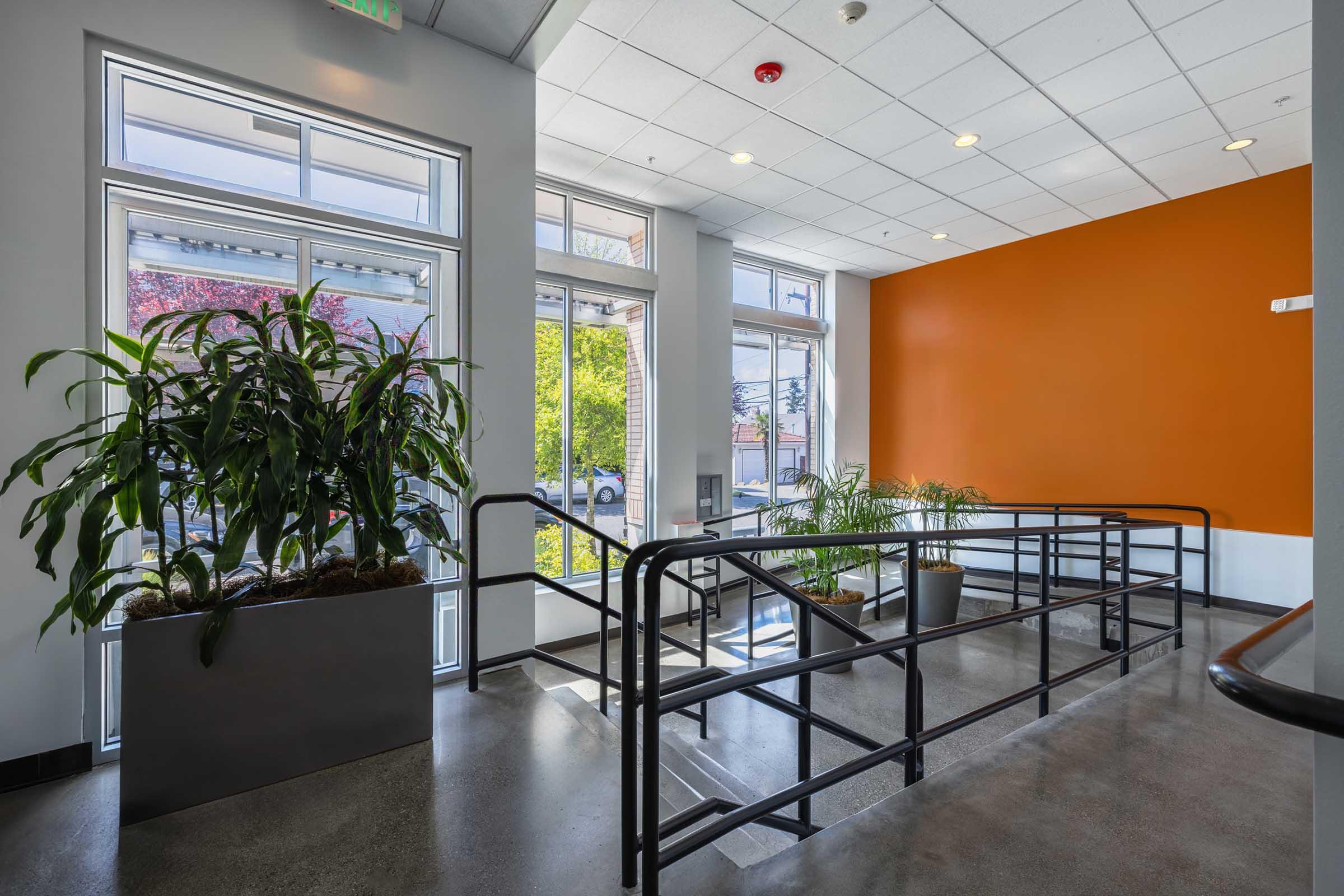 A modern entryway featuring large windows that allow natural light to flow in. There are two potted plants on either side of a ramp, which leads to the door. The walls are painted in a bright orange hue, contrasting with the sleek gray flooring and minimalist design elements.
