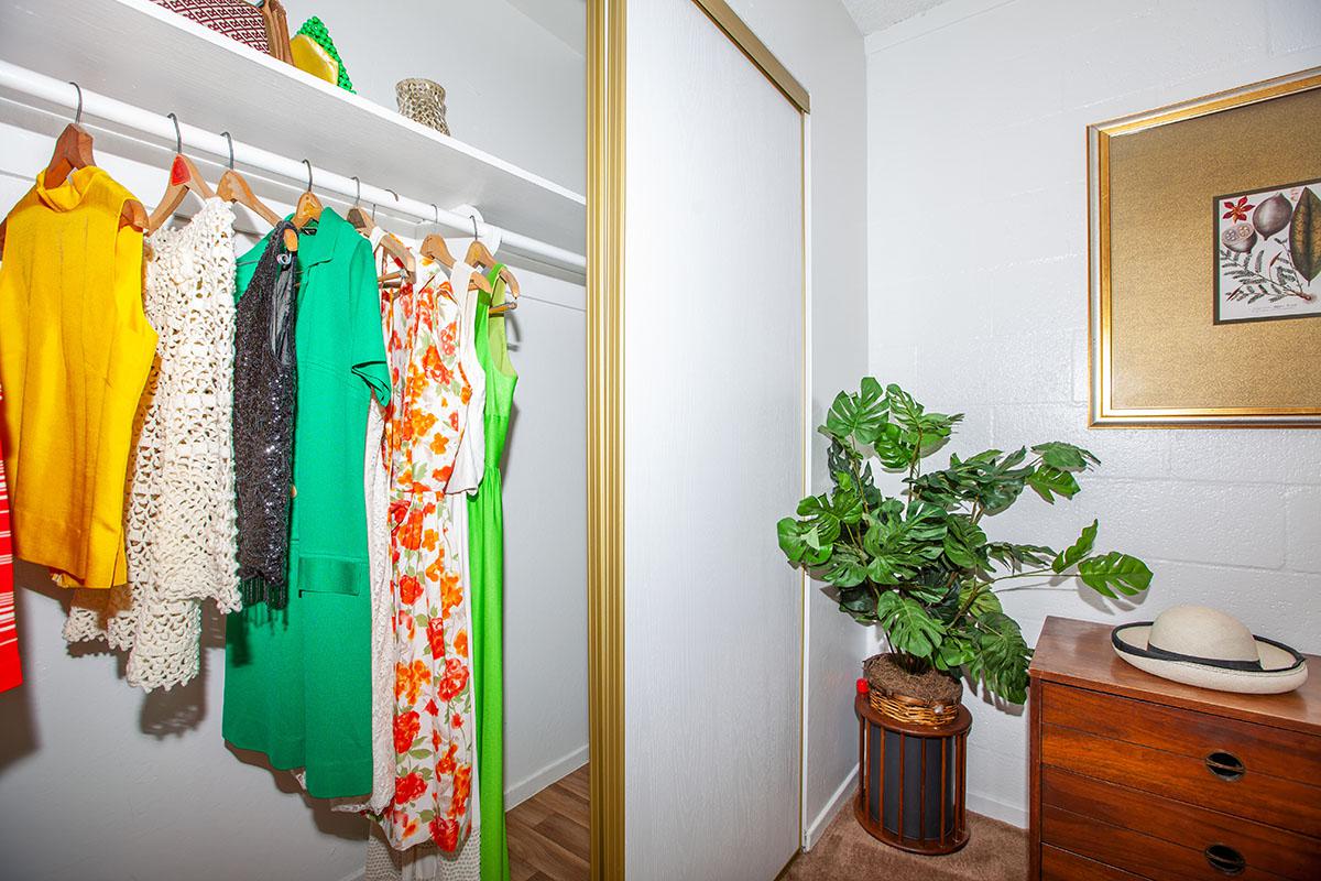 SPACIOUS CLOSETS AT THE PALMS APARTMENTS IN LAS VEGAS