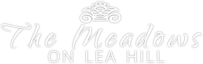 Meadows on Lea Hill ebrochure logo
