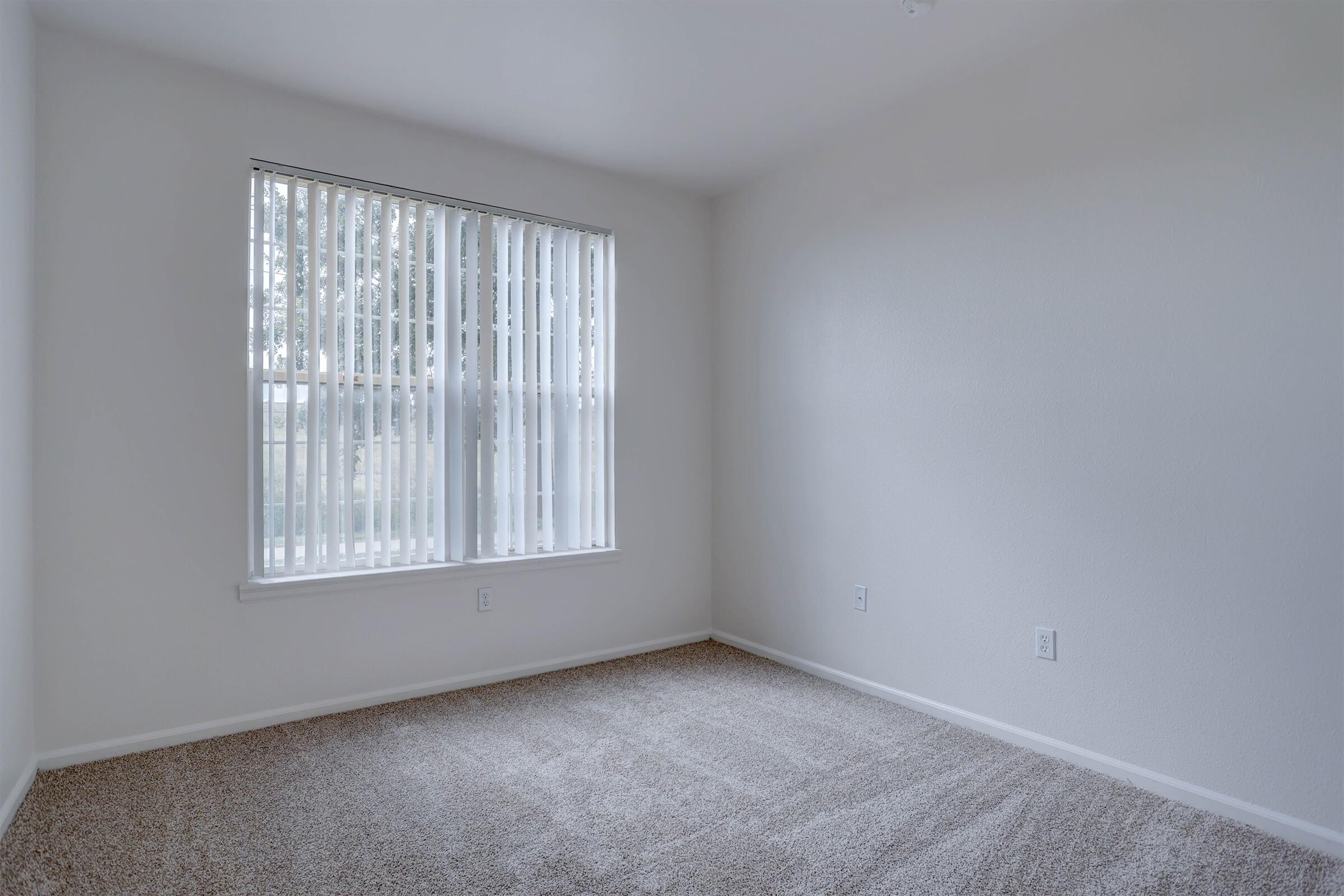 Empty room with light-colored walls and a plush carpet. A large window with vertical blinds allows natural light to fill the space. The room features minimal furnishings and a neutral aesthetic, creating a bright and airy atmosphere.