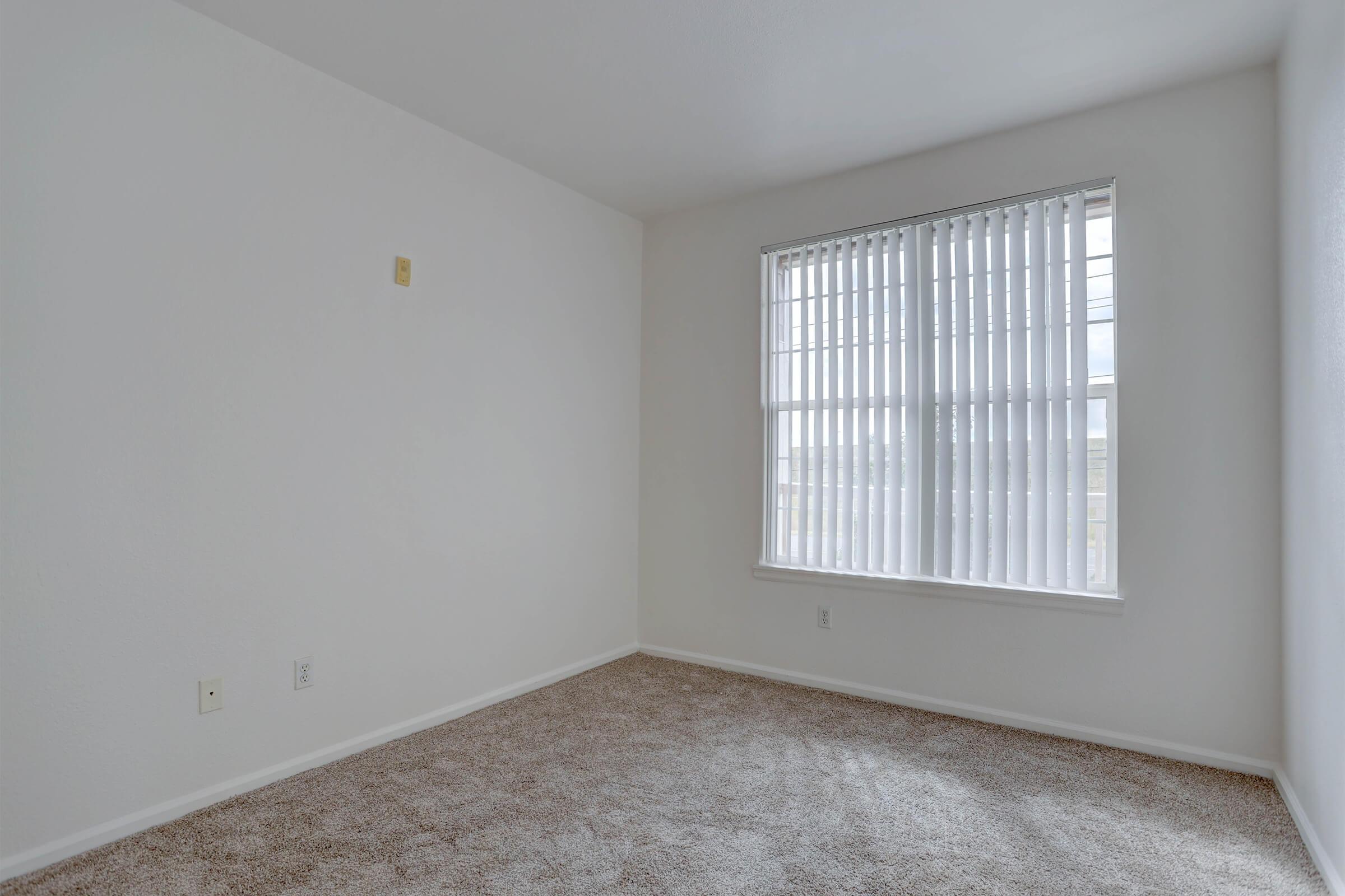 A vacant room featuring light-colored walls and a large window with vertical blinds. The carpet is beige, providing a soft texture to the floor. The space is empty, suggesting potential for decoration or furniture placement. Soft natural light illuminates the area.
