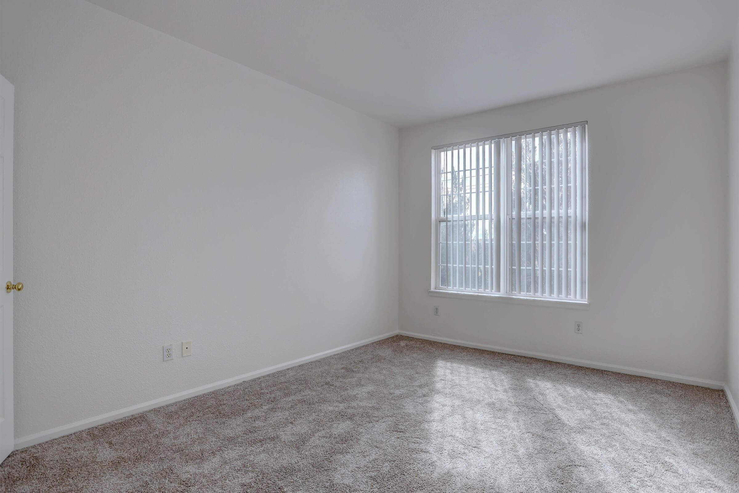 Empty room with light gray walls and a plush carpet. There is a large window with vertical blinds allowing natural light to enter. The room has no furniture, creating a spacious and clean atmosphere.