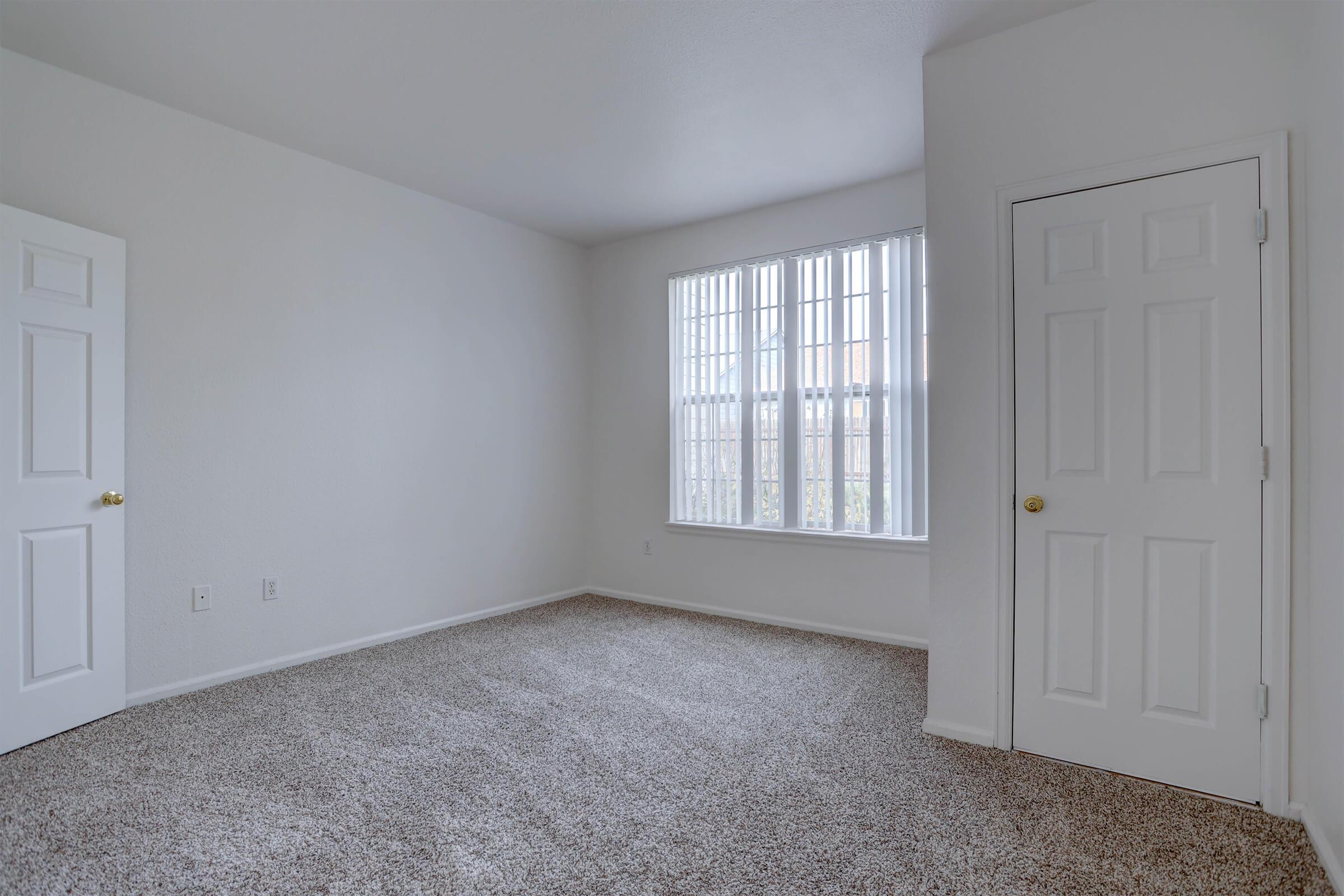 A spacious, empty room with light-colored walls and a plush carpet. It features a large window with vertical blinds, allowing natural light in. There is a closed door on one side and an adjacent closet door, both with simple round handles. The overall ambiance is bright and inviting, ideal for personalization.