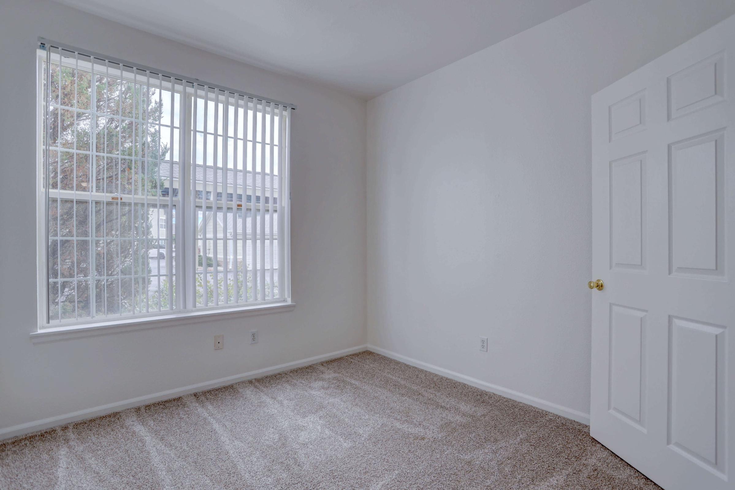 Empty room with light-colored walls and a soft carpet. A large window with vertical blinds allows natural light to fill the space, with trees visible outside. A closed white door is located on the right side, contributing to the minimalist and clean aesthetic of the room.