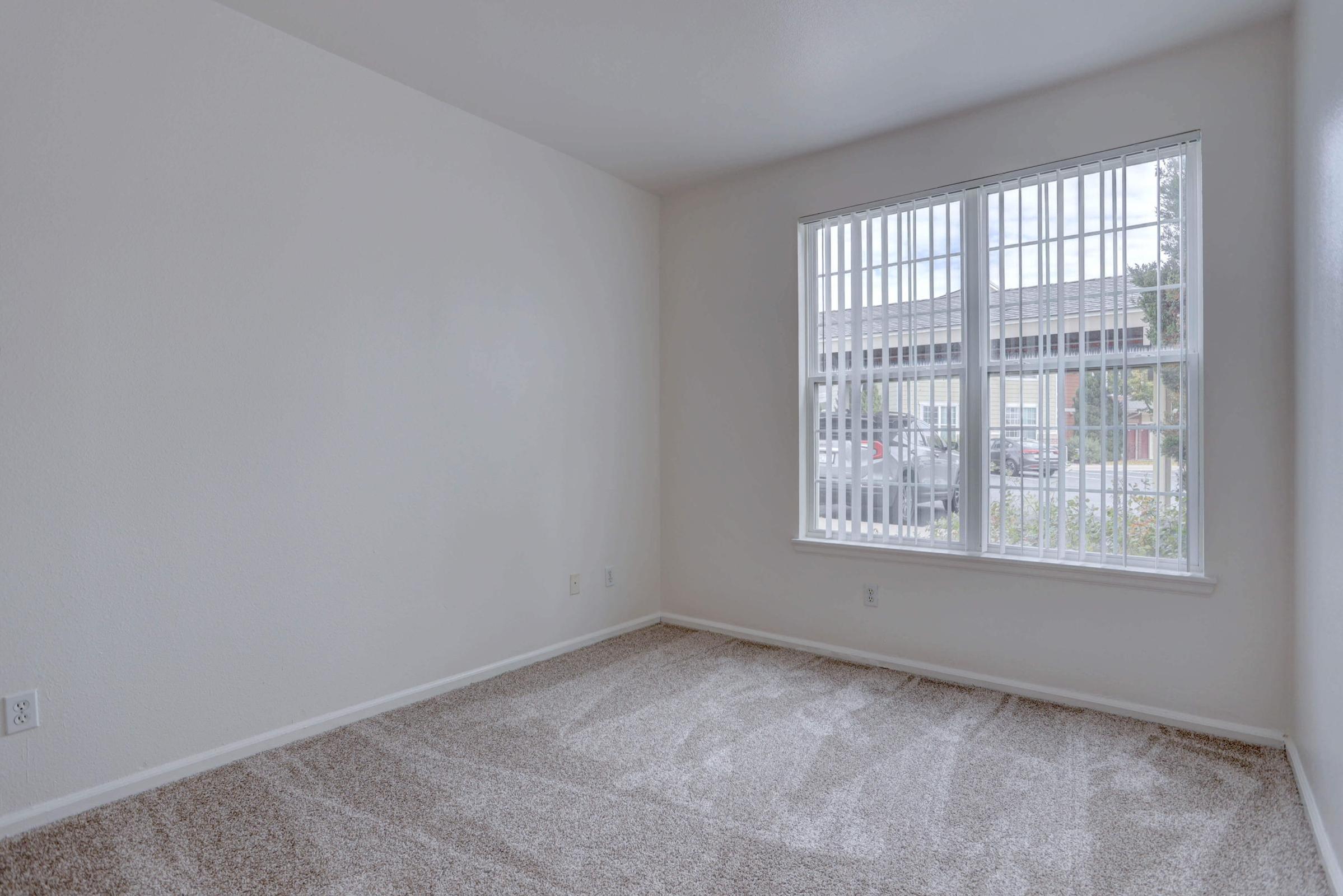Empty room with light-colored walls and a plush beige carpet. A large window with vertical blinds allows natural light to enter, casting soft shadows on the floor. The space is uncluttered and ready for furnishings.