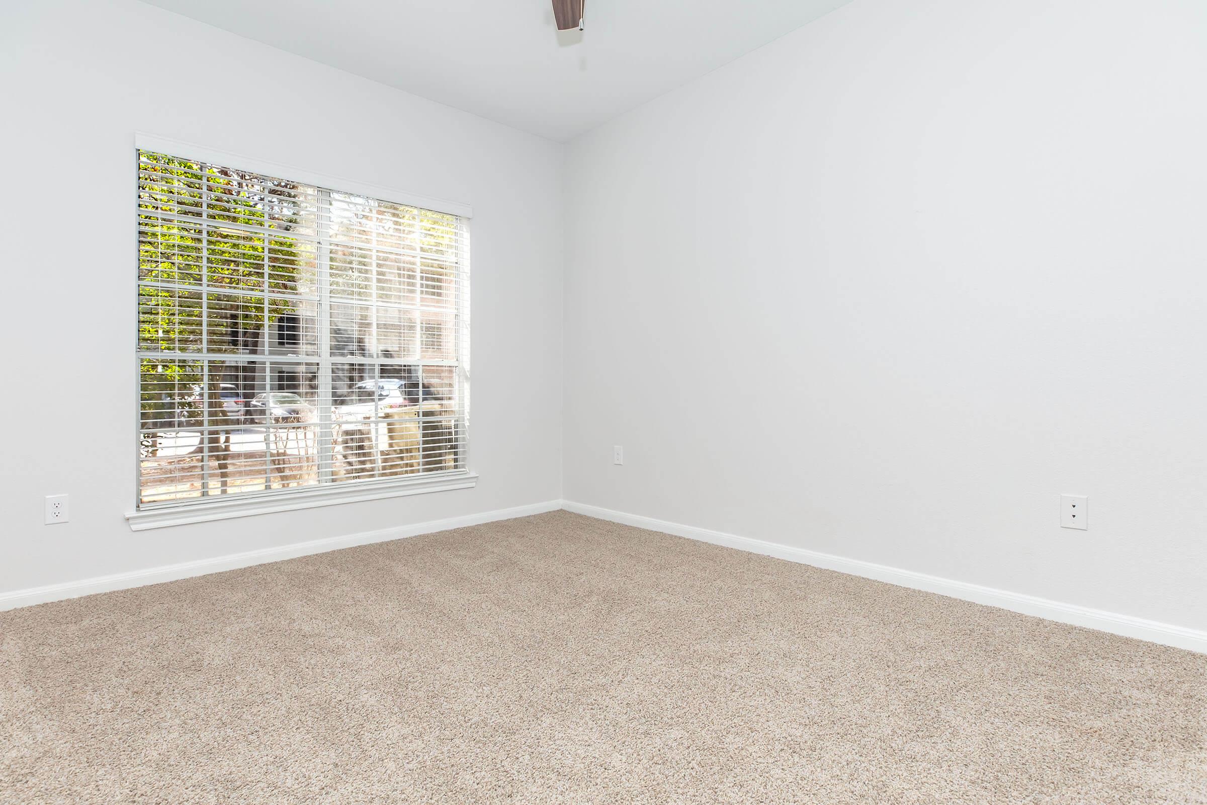 A bright and empty room with light beige carpet and a large window featuring white blinds. The walls are painted white, and there's a ceiling fan visible. Outside the window, greenery and a glimpse of parked cars can be seen, suggesting a peaceful outdoor view.