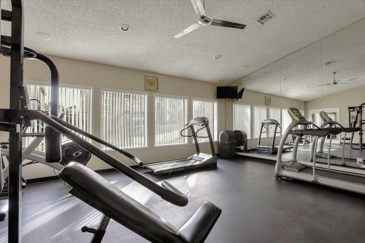 A modern gym interior featuring several exercise machines, including treadmills and weight benches. Large windows provide natural light, and a mirror runs along one wall, reflecting the equipment. Ceiling fans are installed for ventilation. The atmosphere is bright and inviting for workouts.