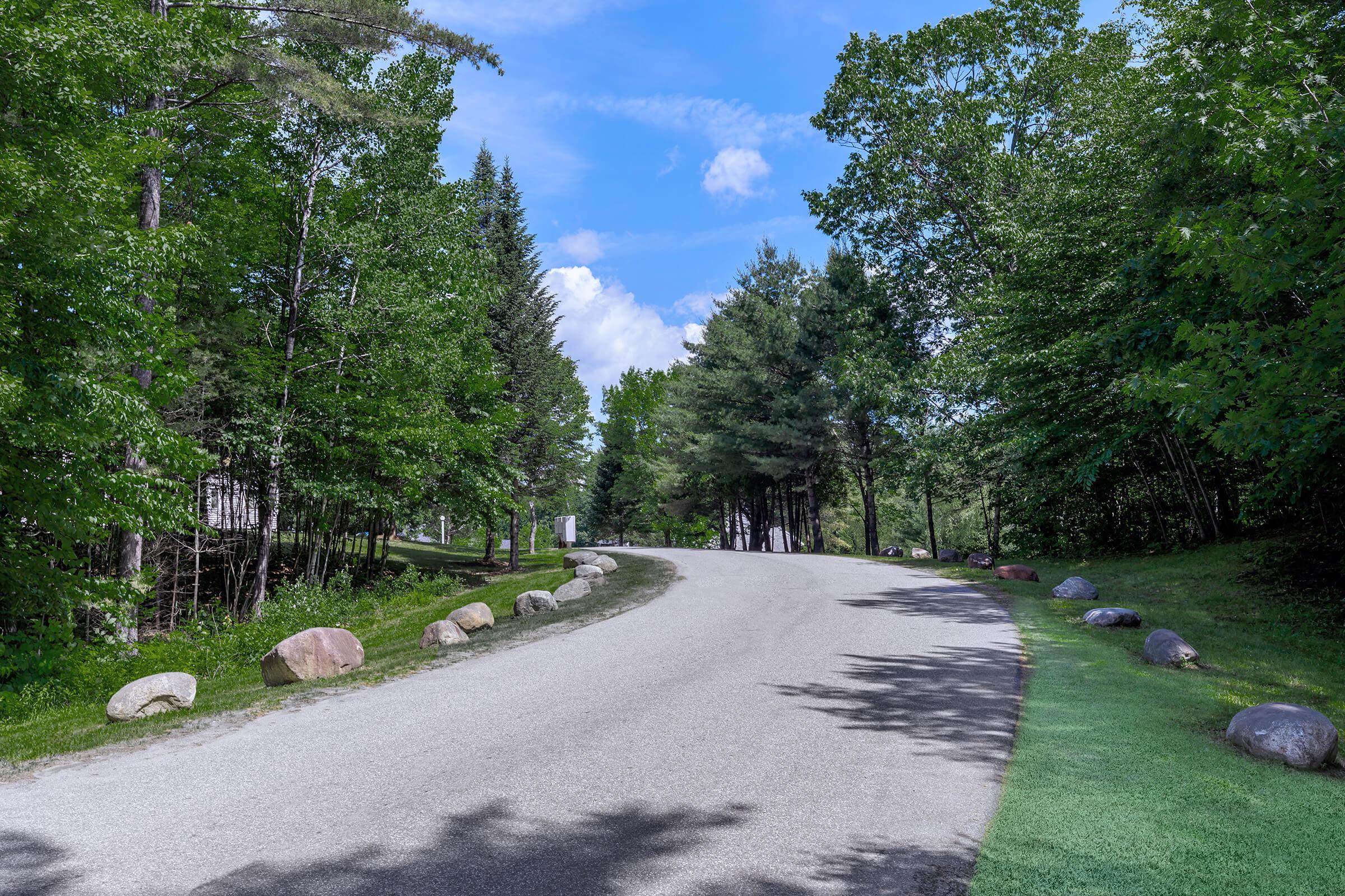 a path with trees on the side of a road