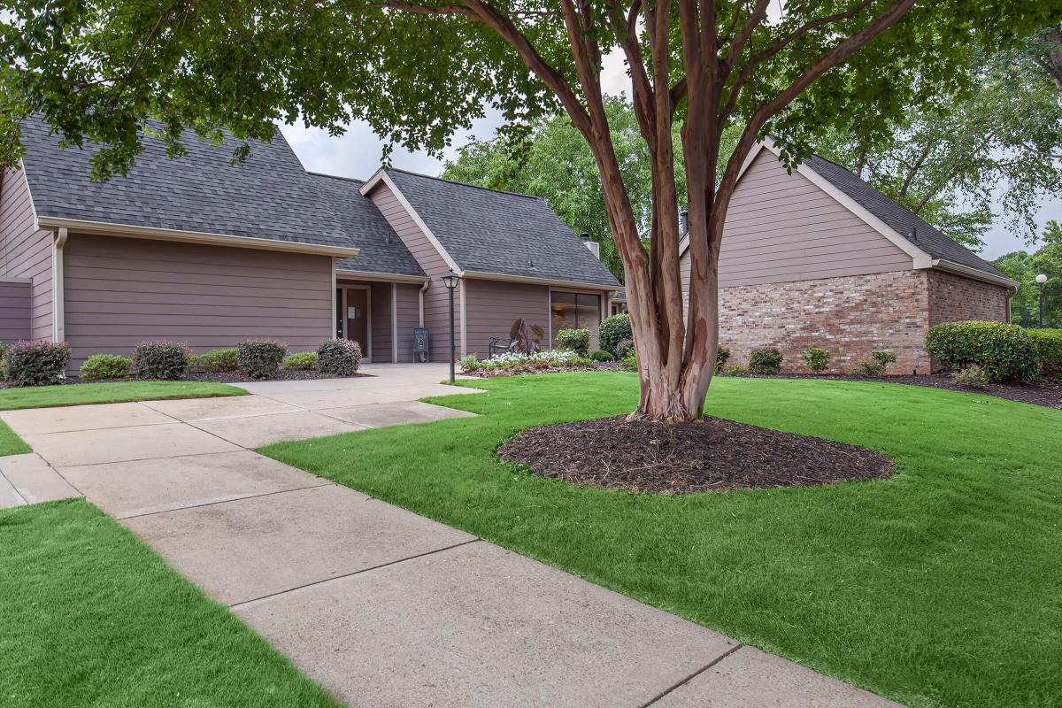 Beautiful landscaping at Haywood Pointe in Greenville, SC.